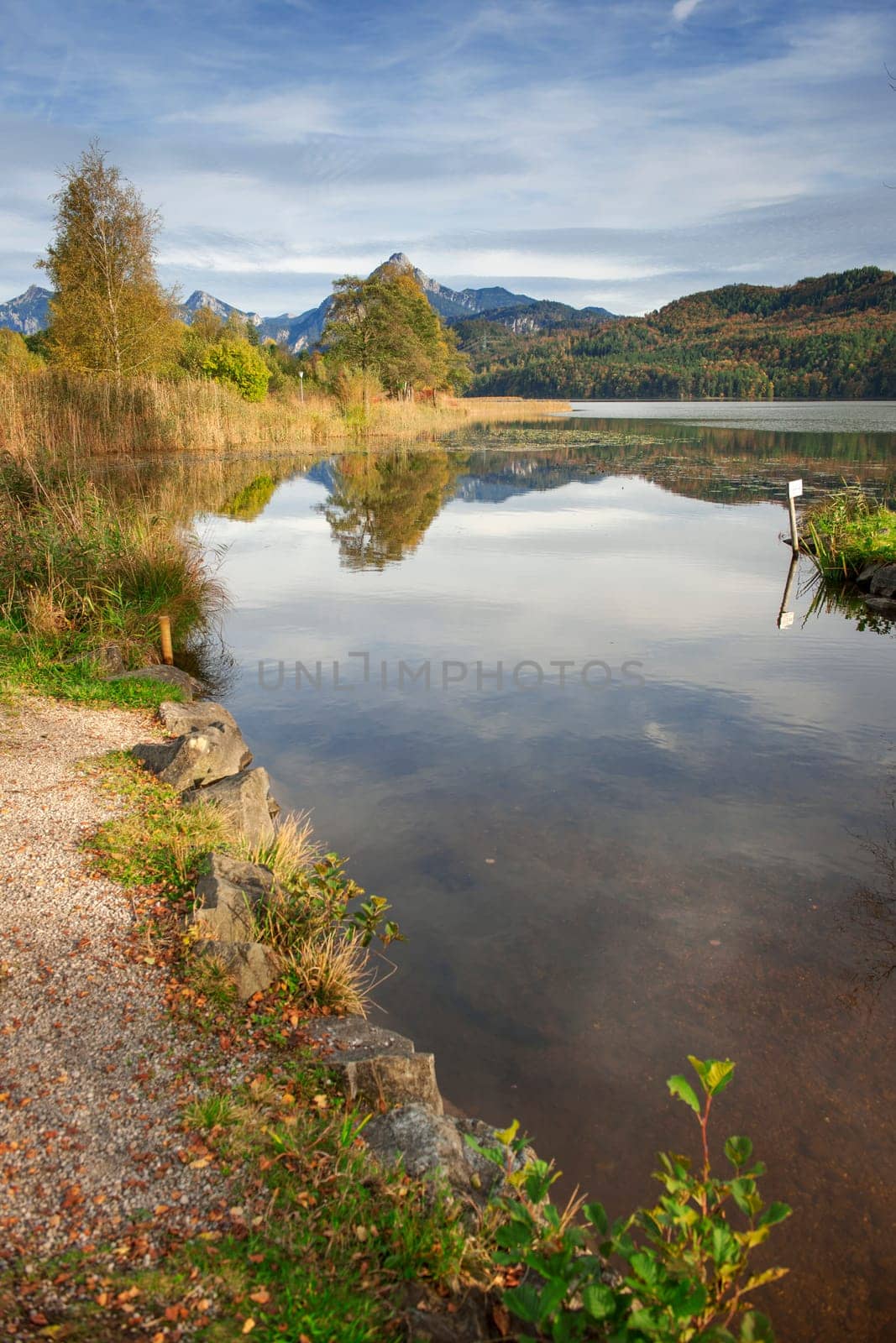 Wide-angle landscape view over the lake Weissensee with wooden bench on the left bank side and the first foothills of the high Alps in the background, near the city Fuessen.