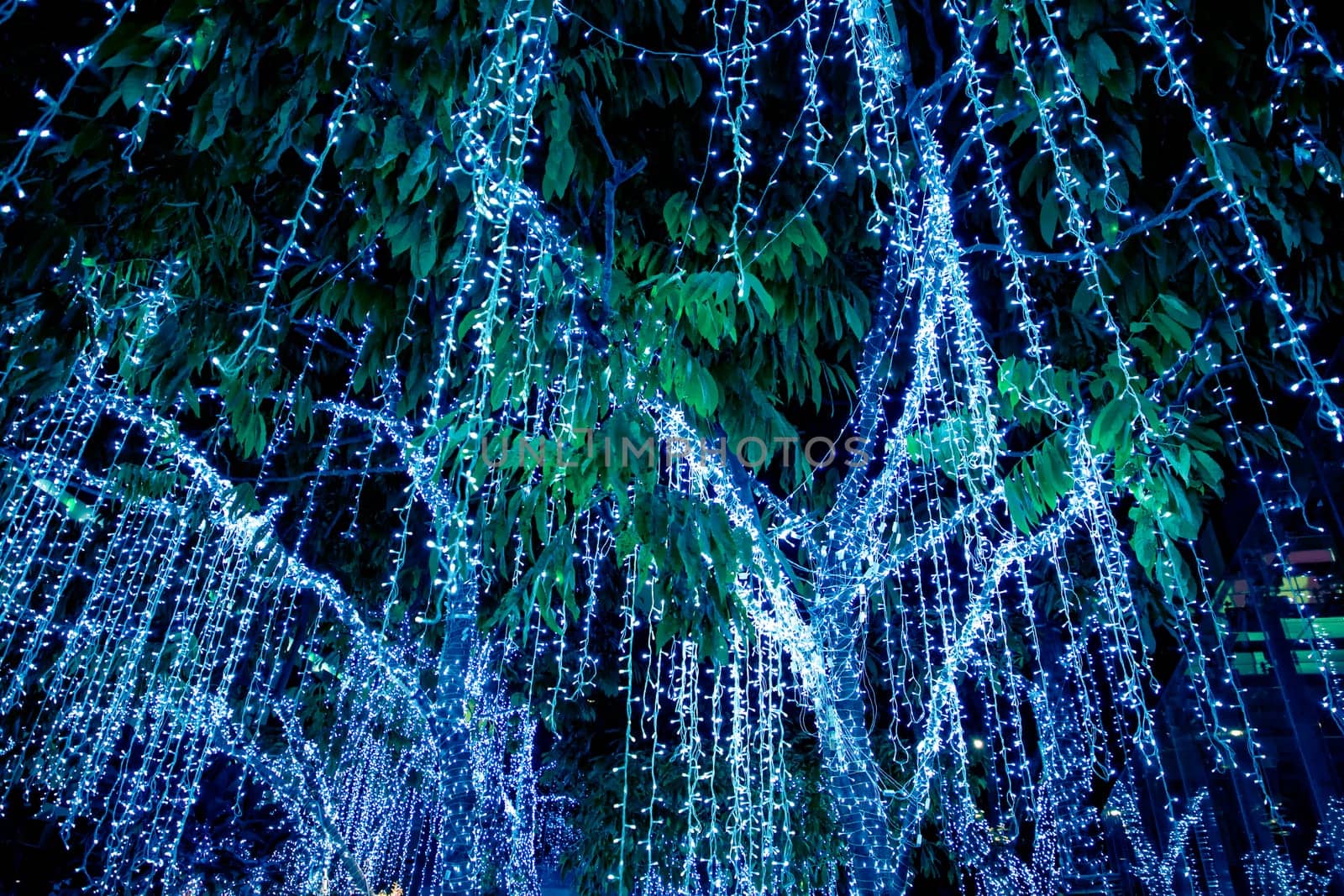 an image of shiny Christmas tree on Christmas time