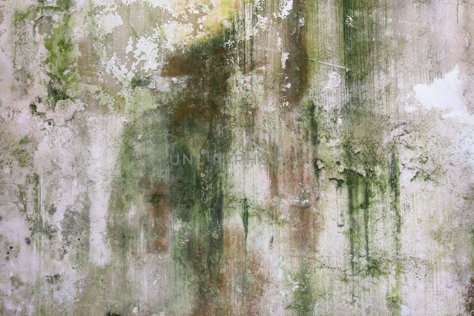 Old dirty wall covered with moss and mold - grunge texture