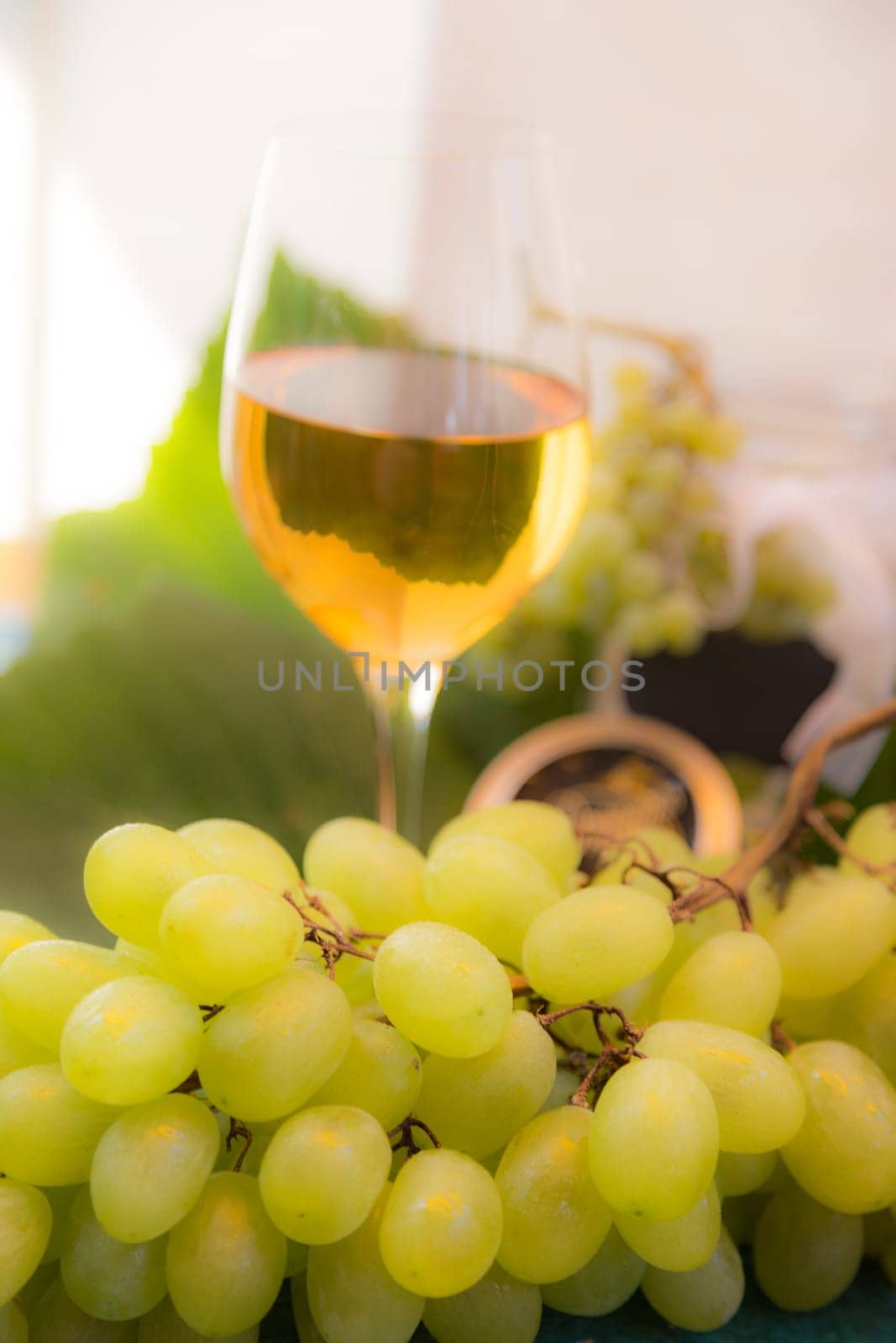 Fresh Wine