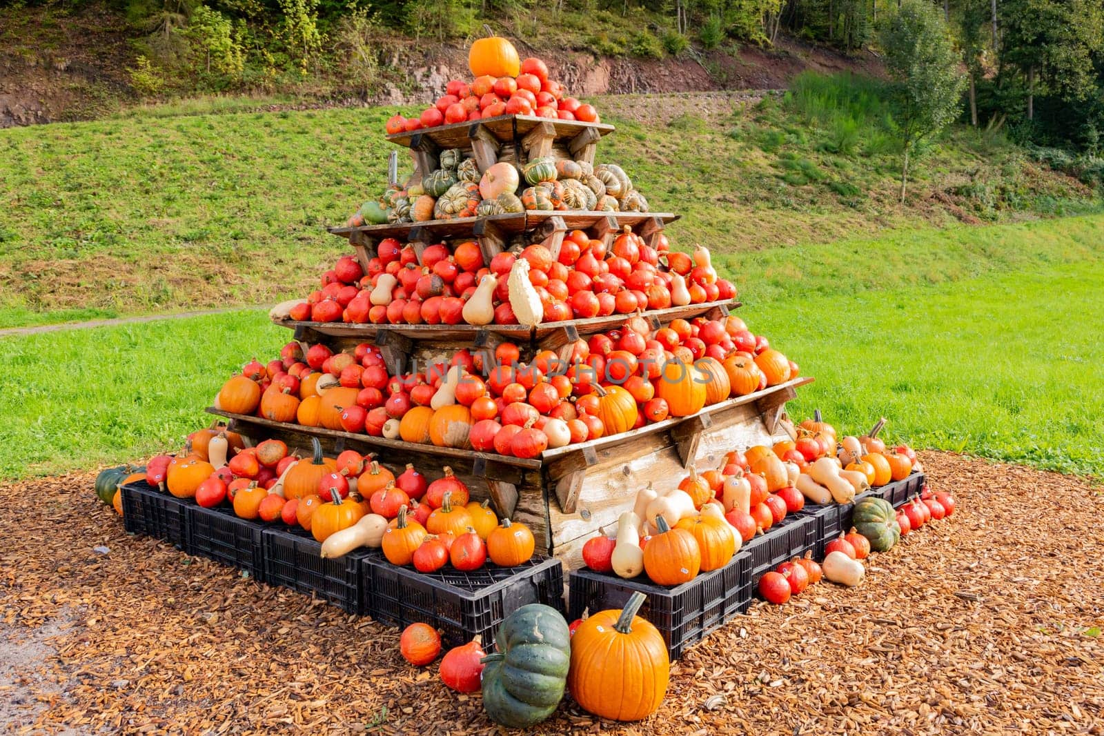 Display of freshly harvested pumpkins, squash and gourds on a pyramidal stand outdoors in the countryside