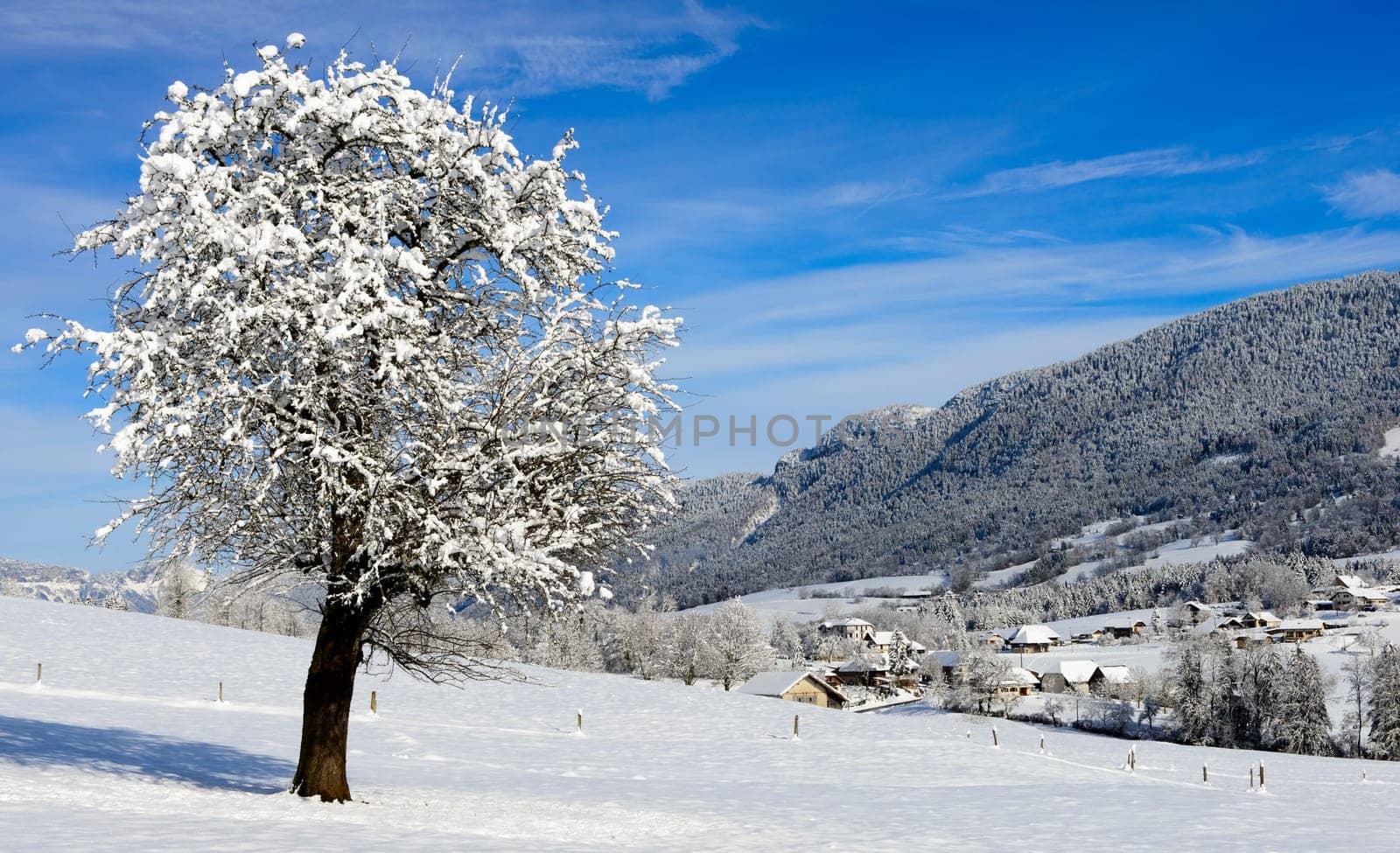 mountain landscape in winter with snow