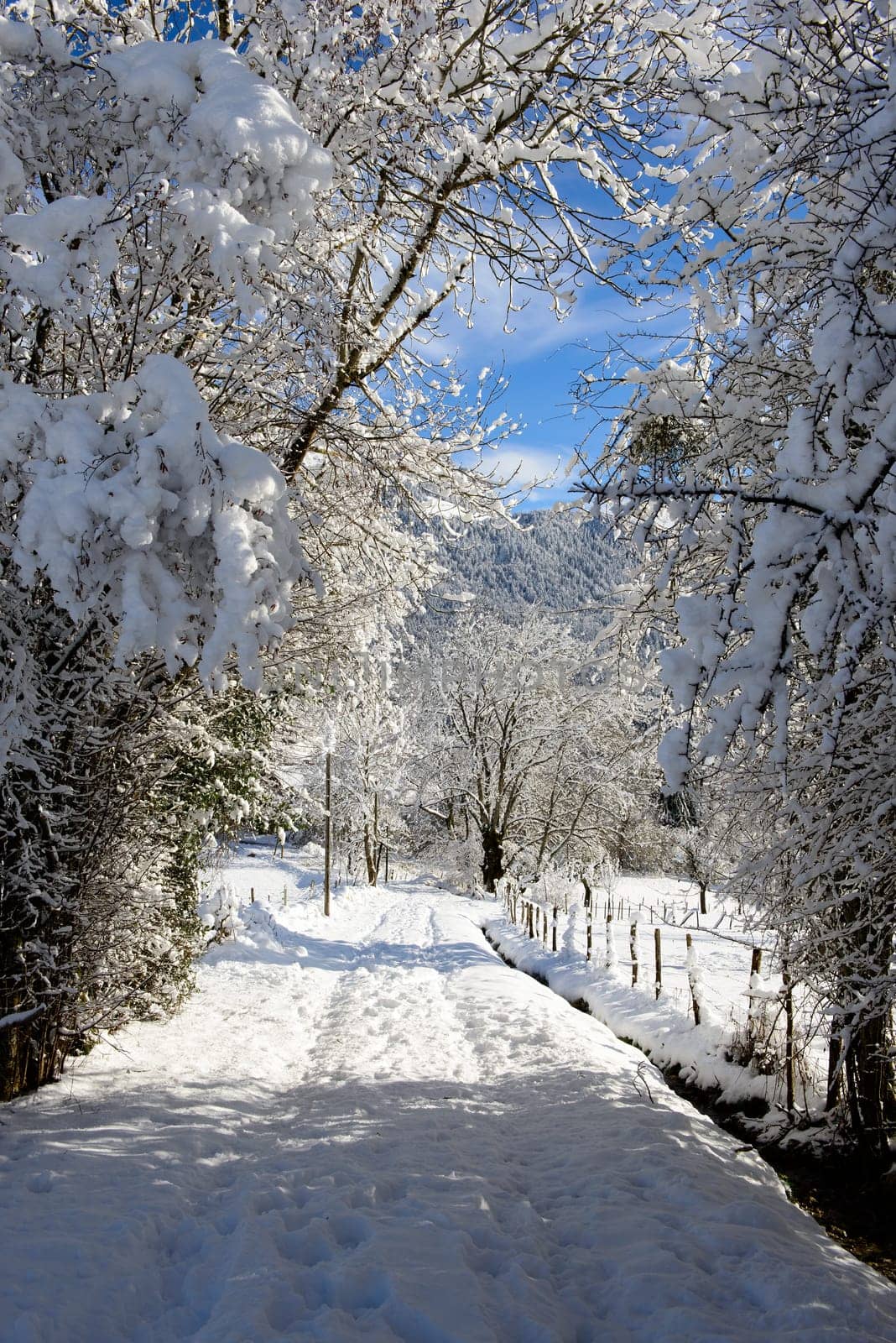 mountain landscape in winter with snow
