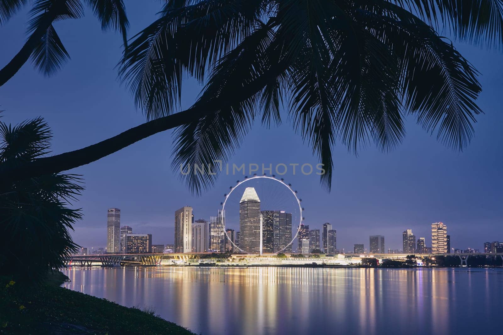 Lights of modern asian city. Palm tree against Singapore skyline at dusk.