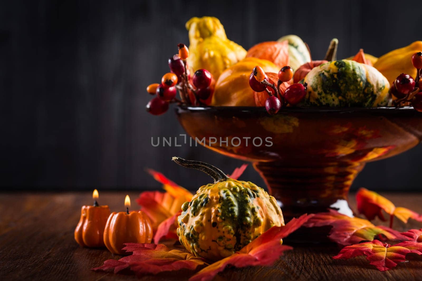 Thanksgiving and Halloween pumpkins still life