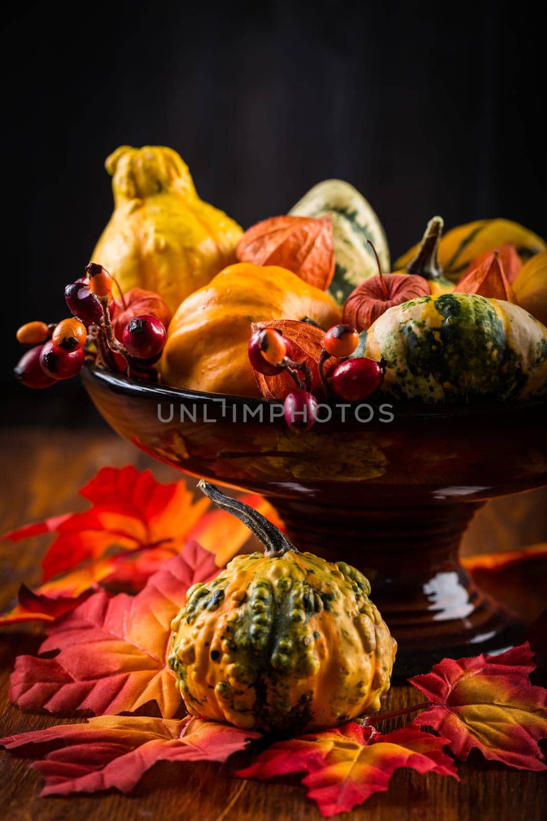 Thanksgiving and Halloween pumpkins still life