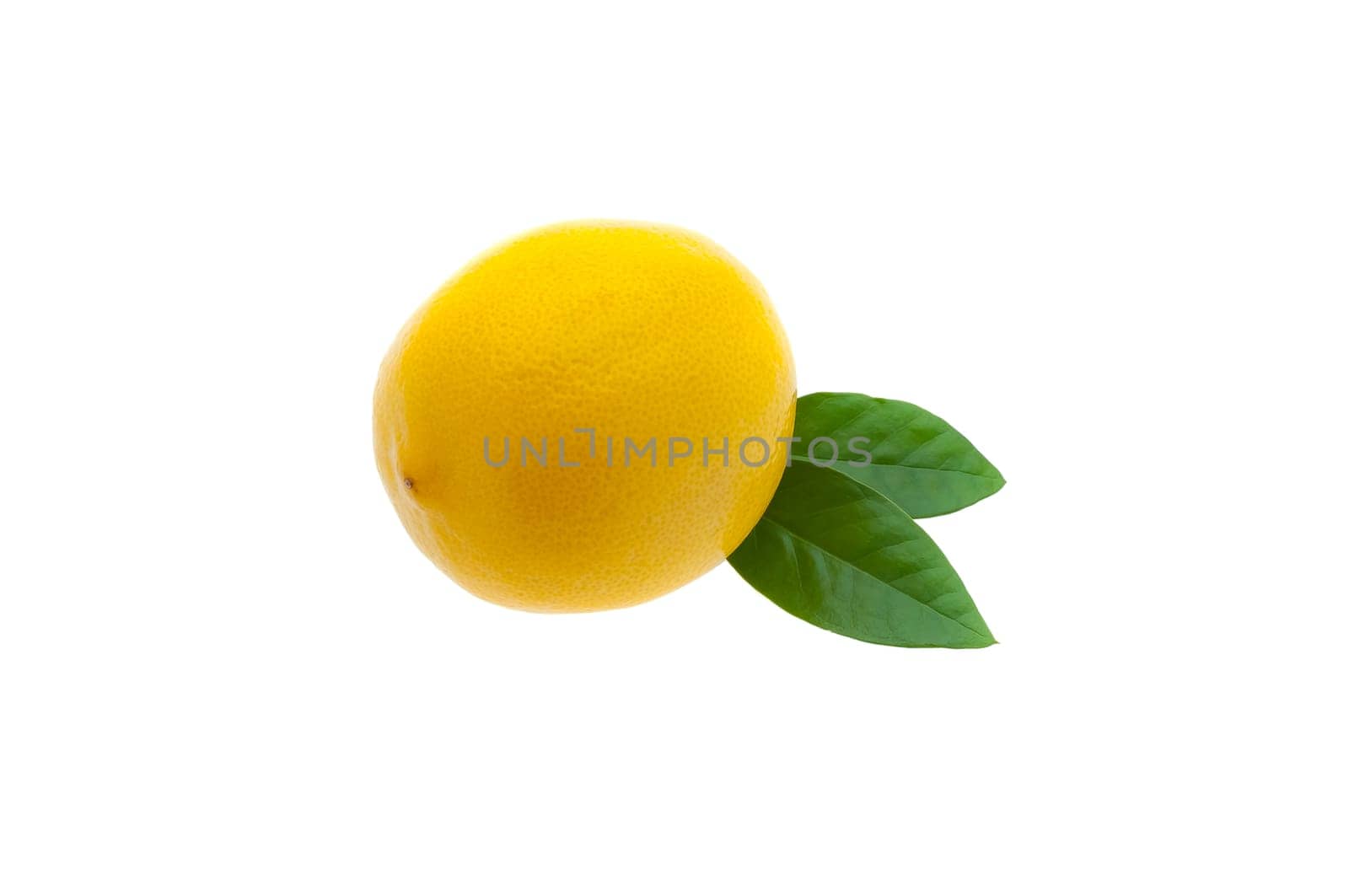 Creative layout made of lemon and leaves. Flat lay. Food concept. Lemon on white background.