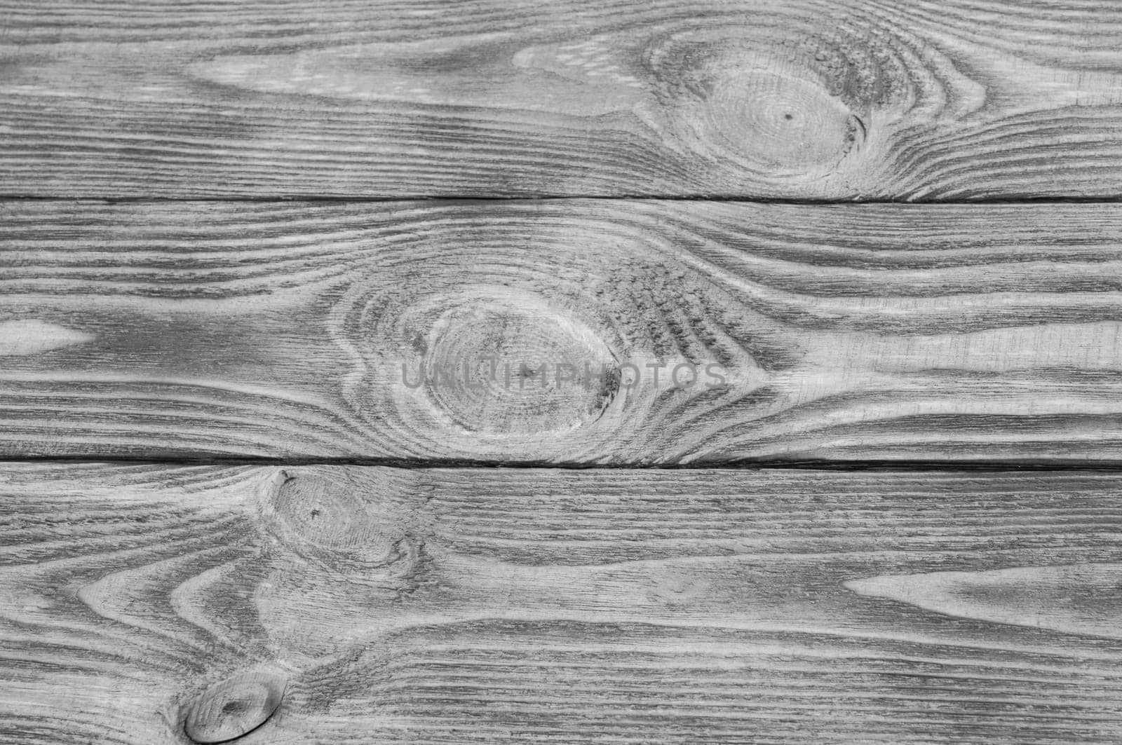 Wood texture. Black and white. Abstract background