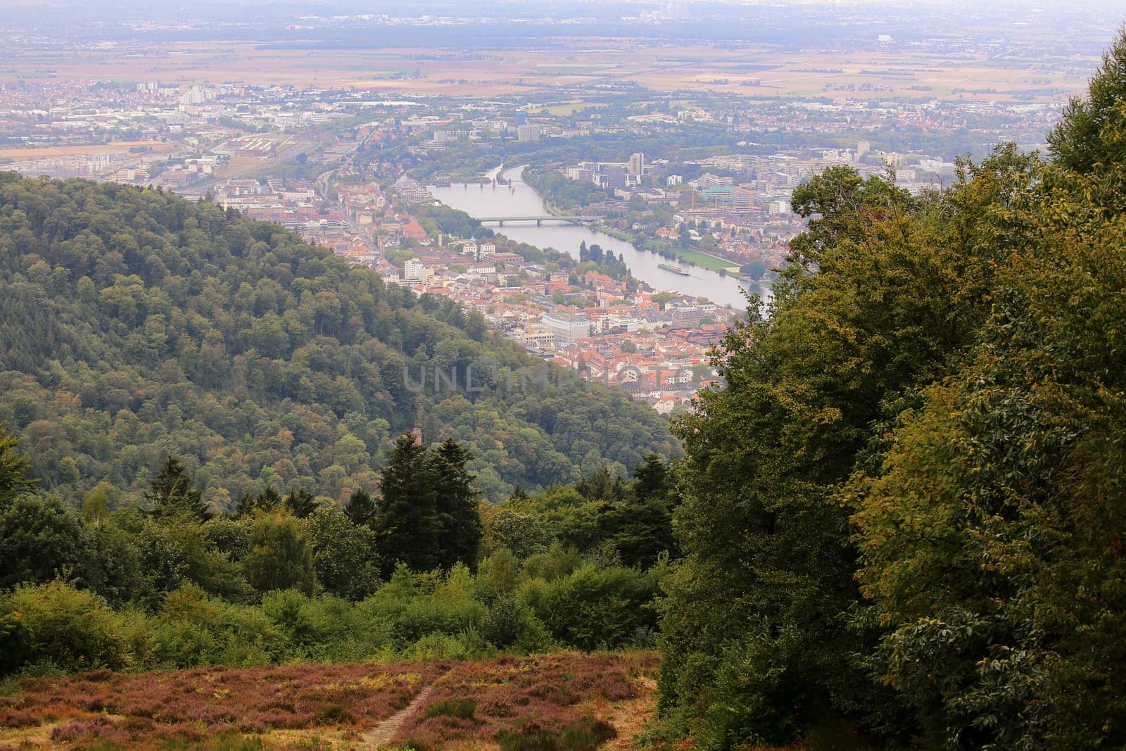 View in autumn from the Königstuhl to Heidelberg and the Neckar