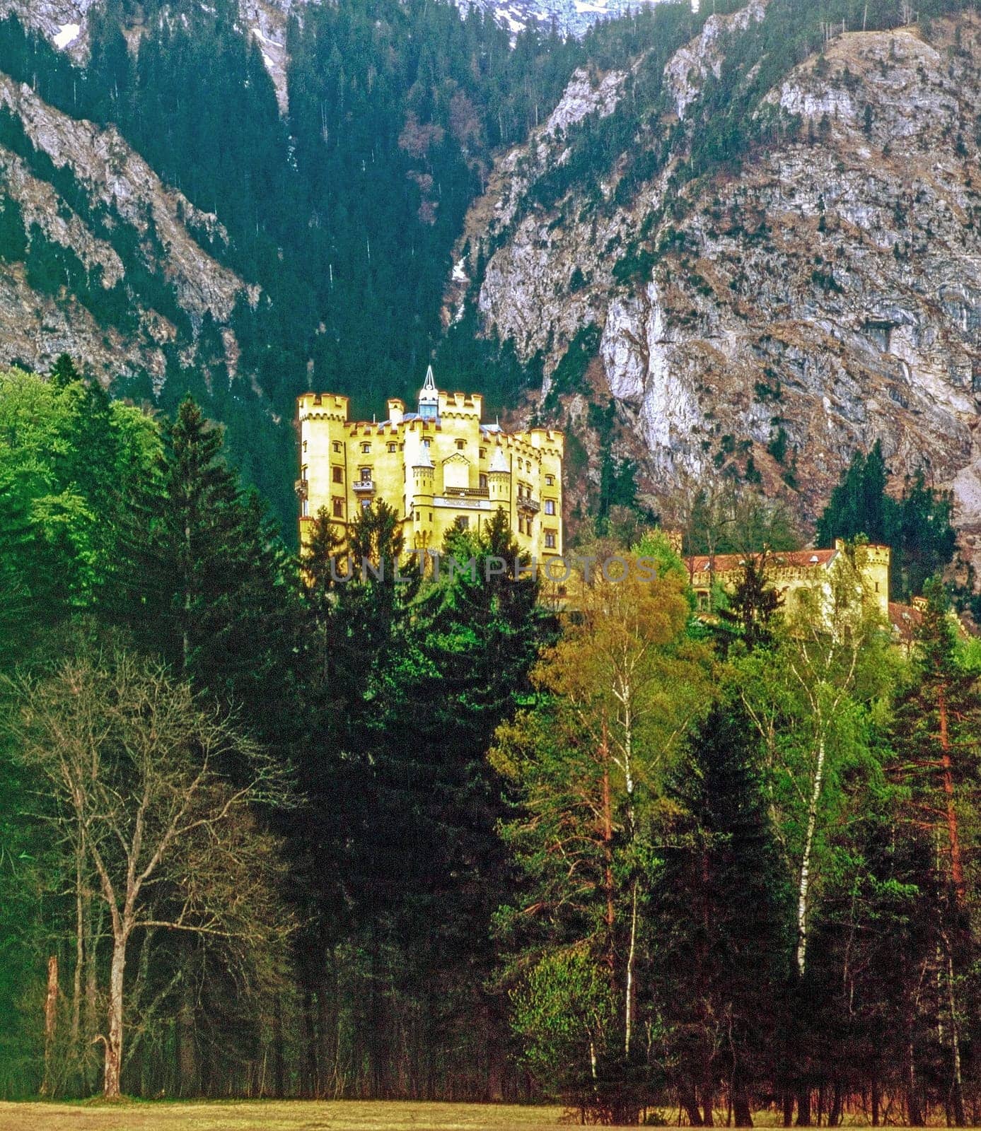 Castle Hohenschwangau, Germany
