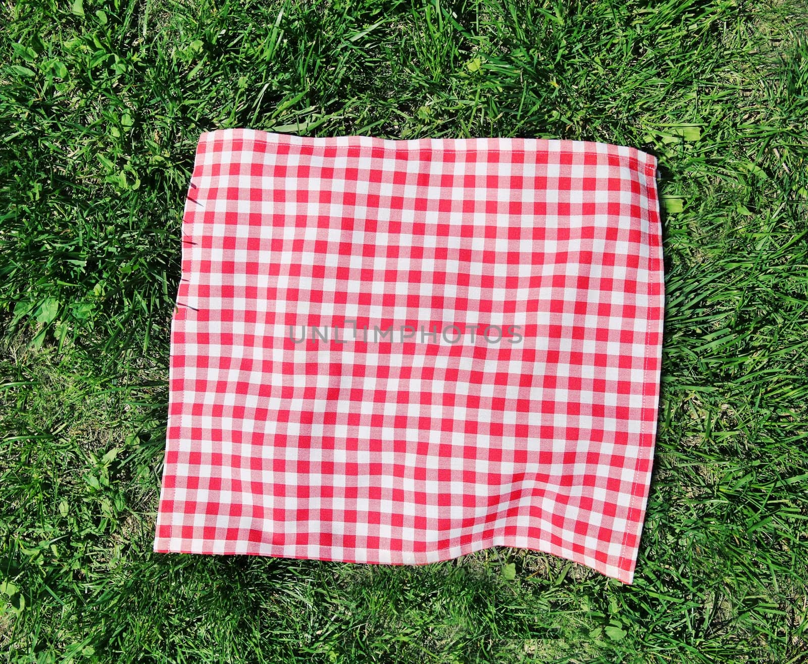 Red checkered picnic cloth over green grass top view.