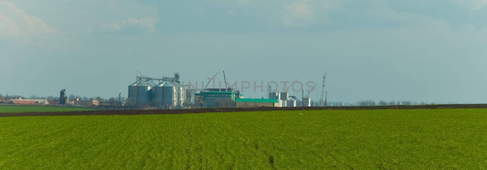 Towers of grain drying enterprise. metal grain facility with silos