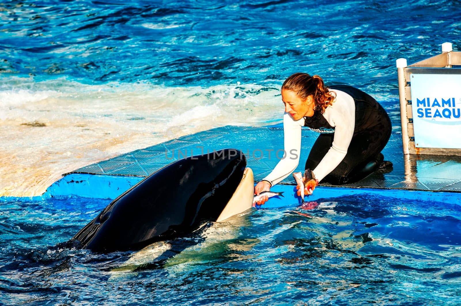 MIAMI,US - JANUARY 24,2014