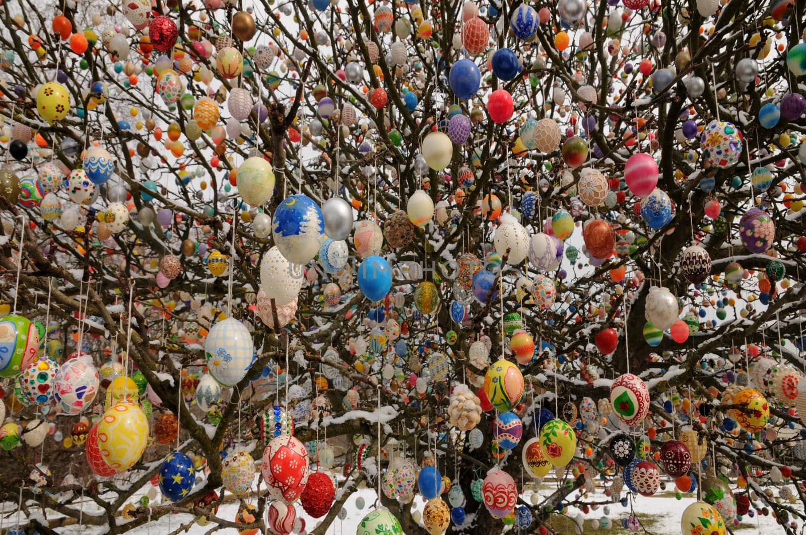Egg tree