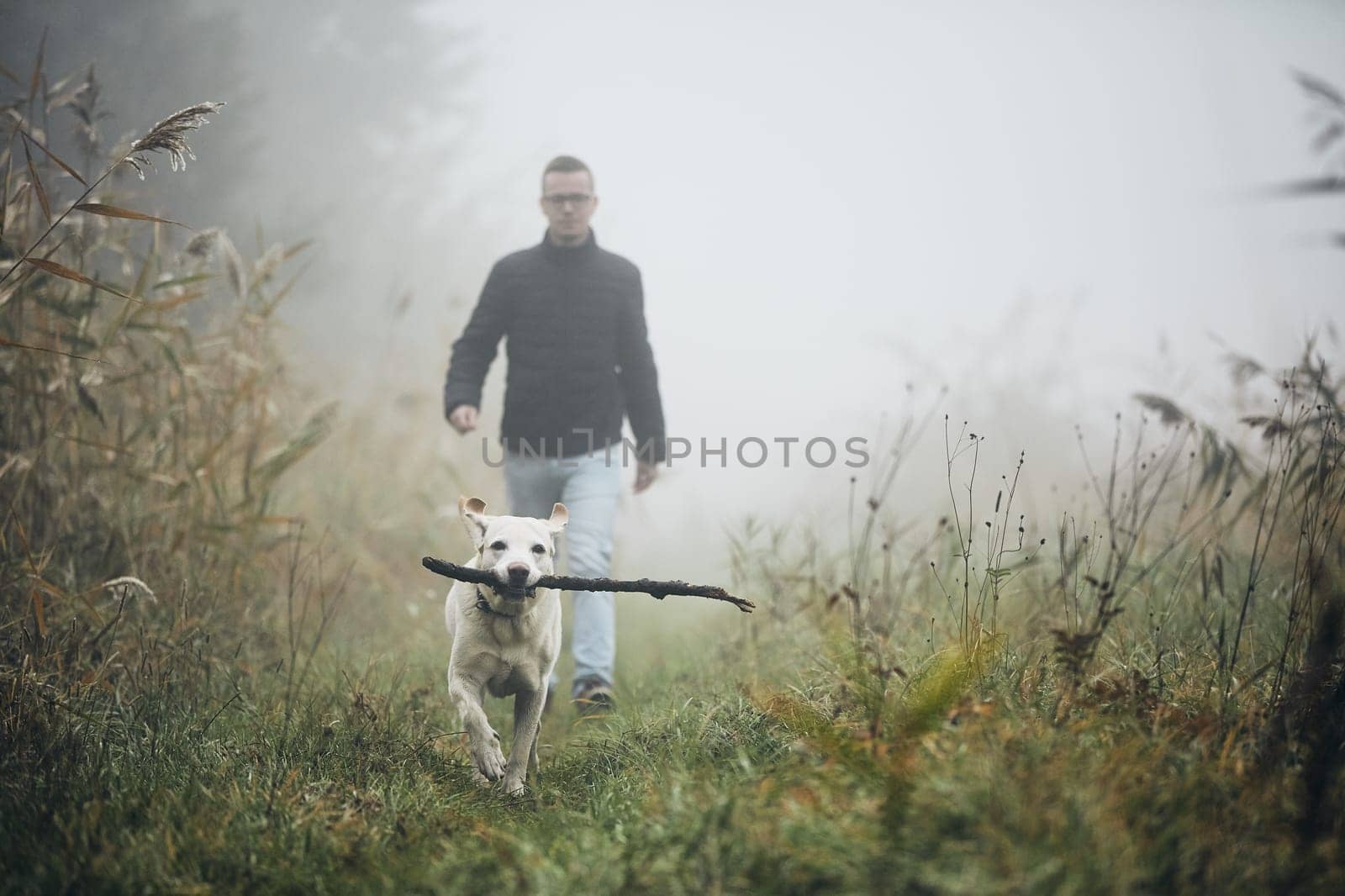 Young man playing with dog (labrador retriever) in autumn foggy morning.