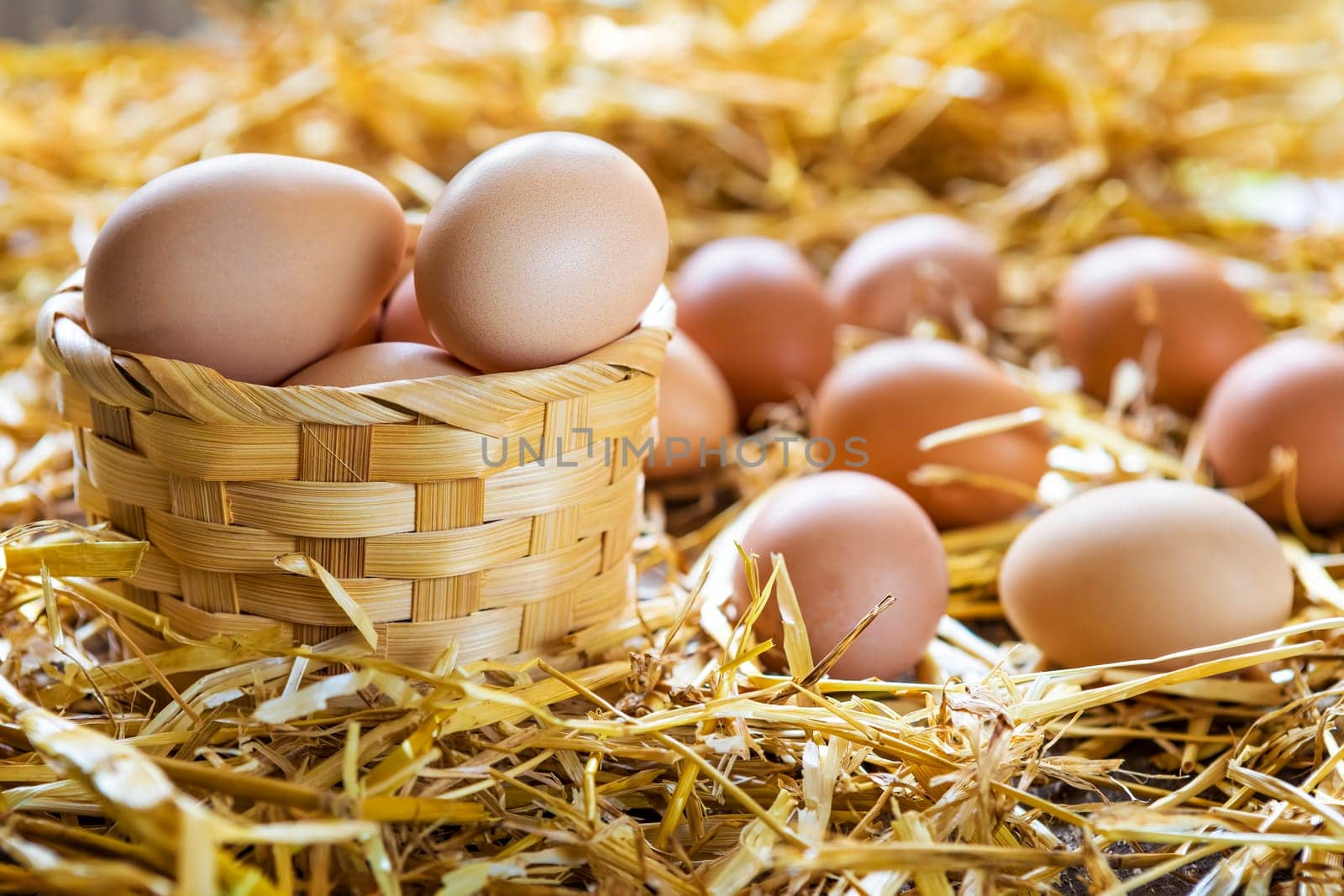 Fresh and organic eggs in basket on straw in nest at farm