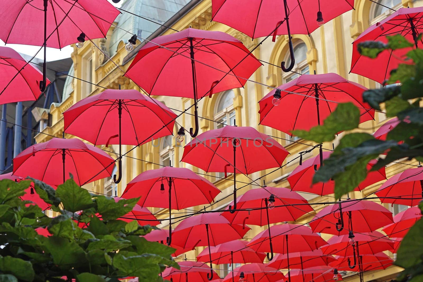 Many open red umberlla overhead street decor