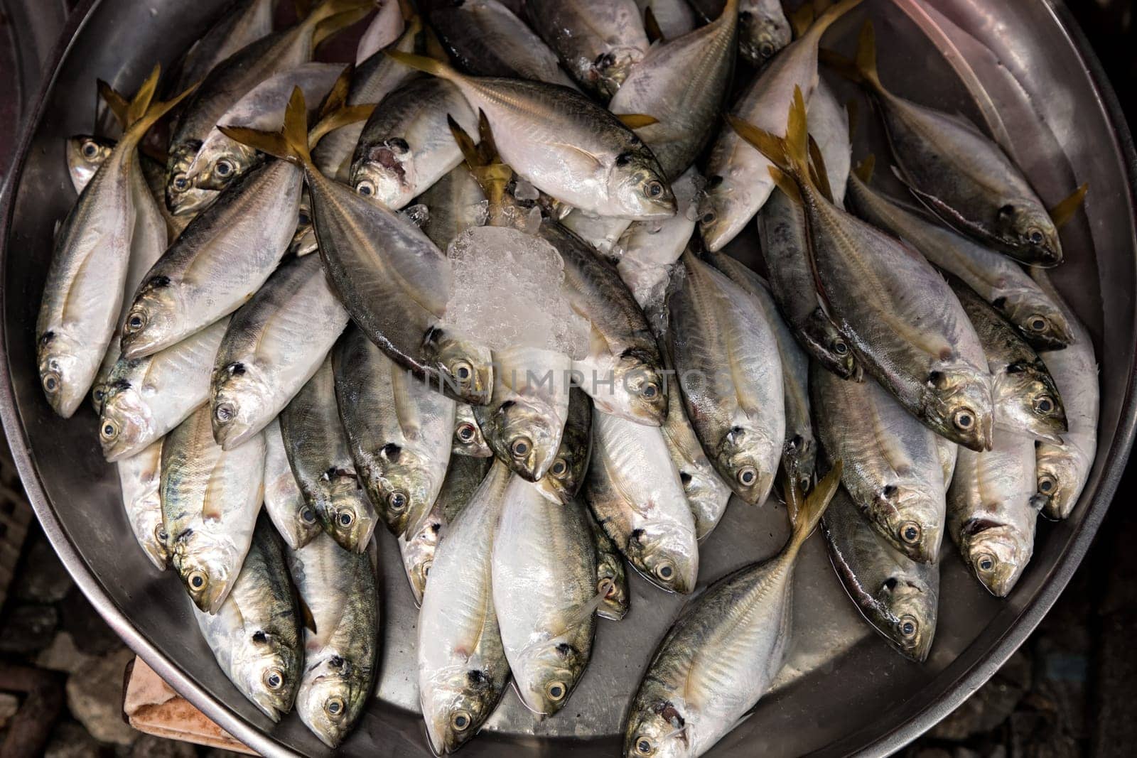 Close up group of fish arrangement on tray in fish market of Bangkok, Thailand