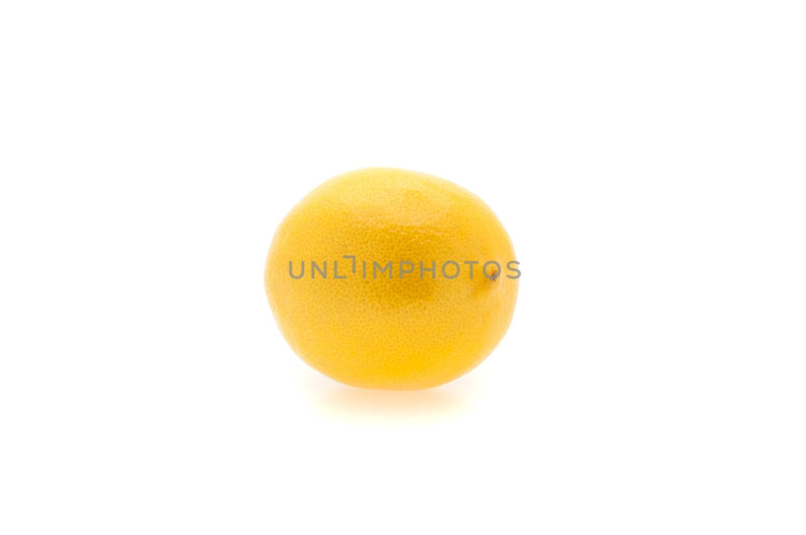 Creative layout made of one lemon. Food concept. Lemon on white background.