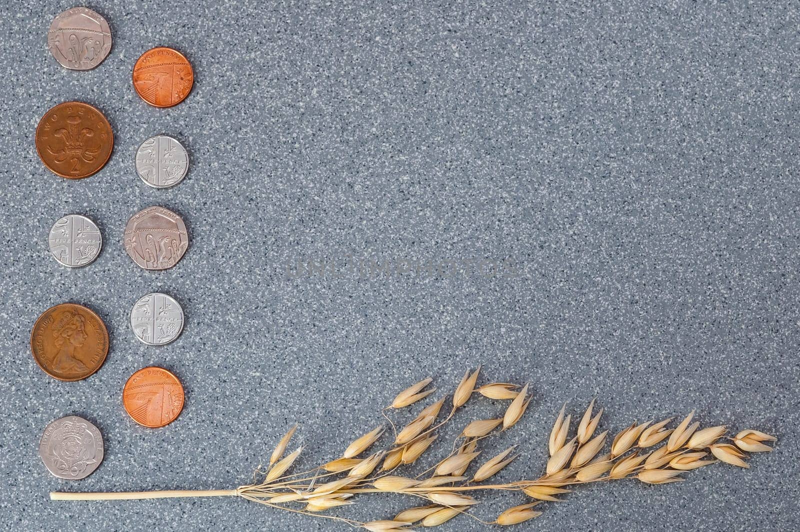 Coins of the Great Britain and an ear of barley on a background of granite.