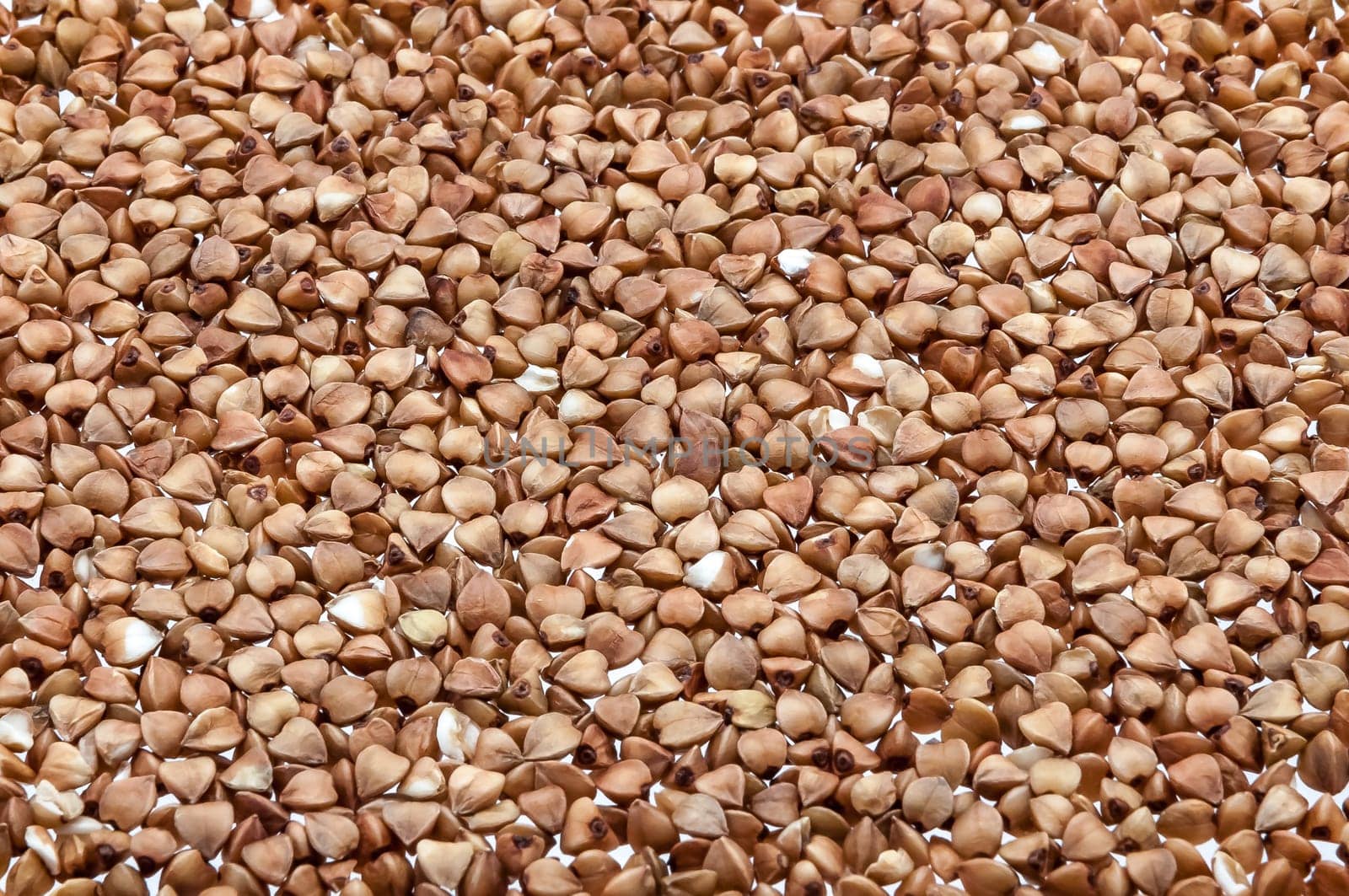Background of buckwheat groats on all images.