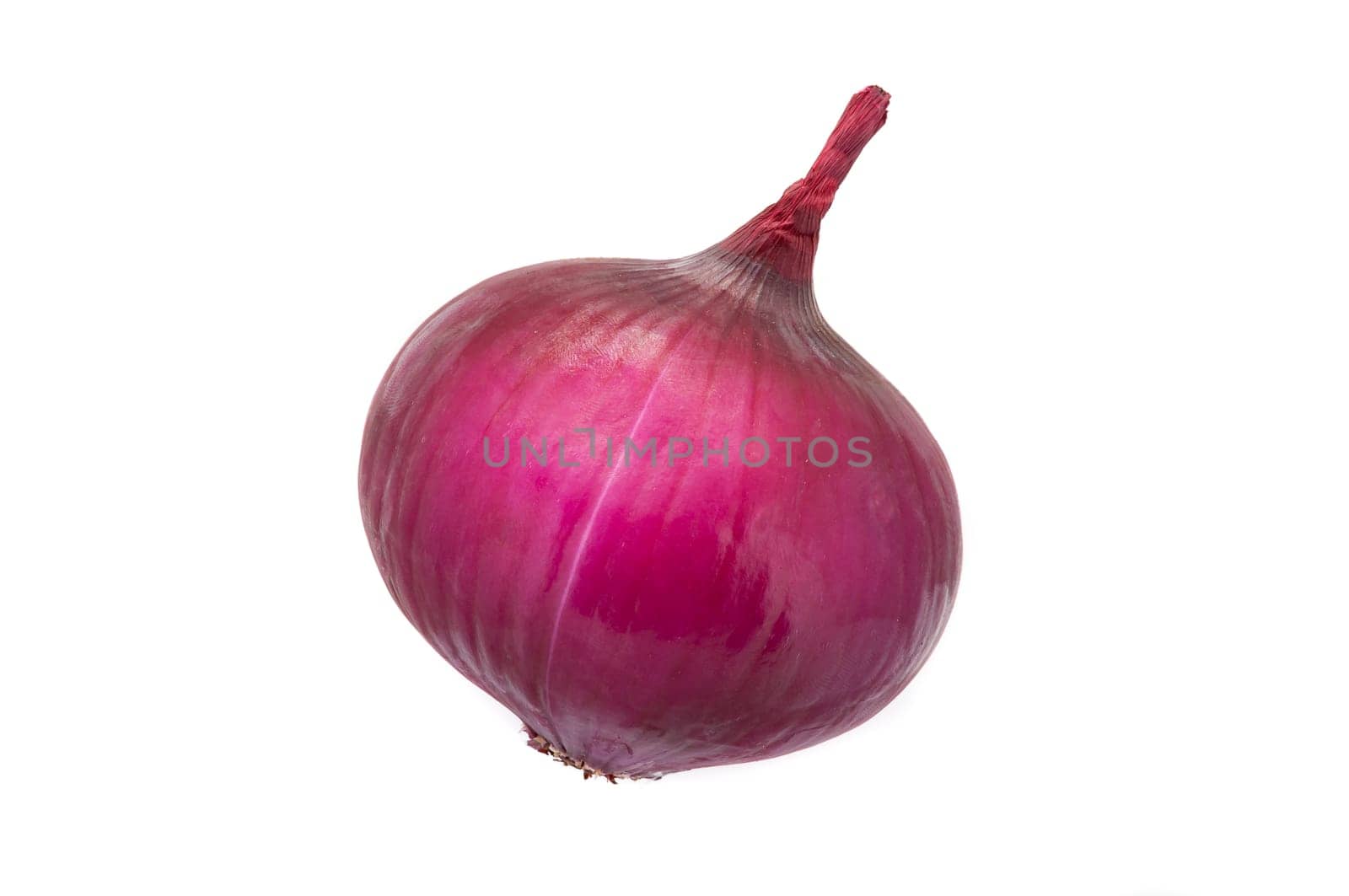 Fresh red onion close-up on a white background. isolated.