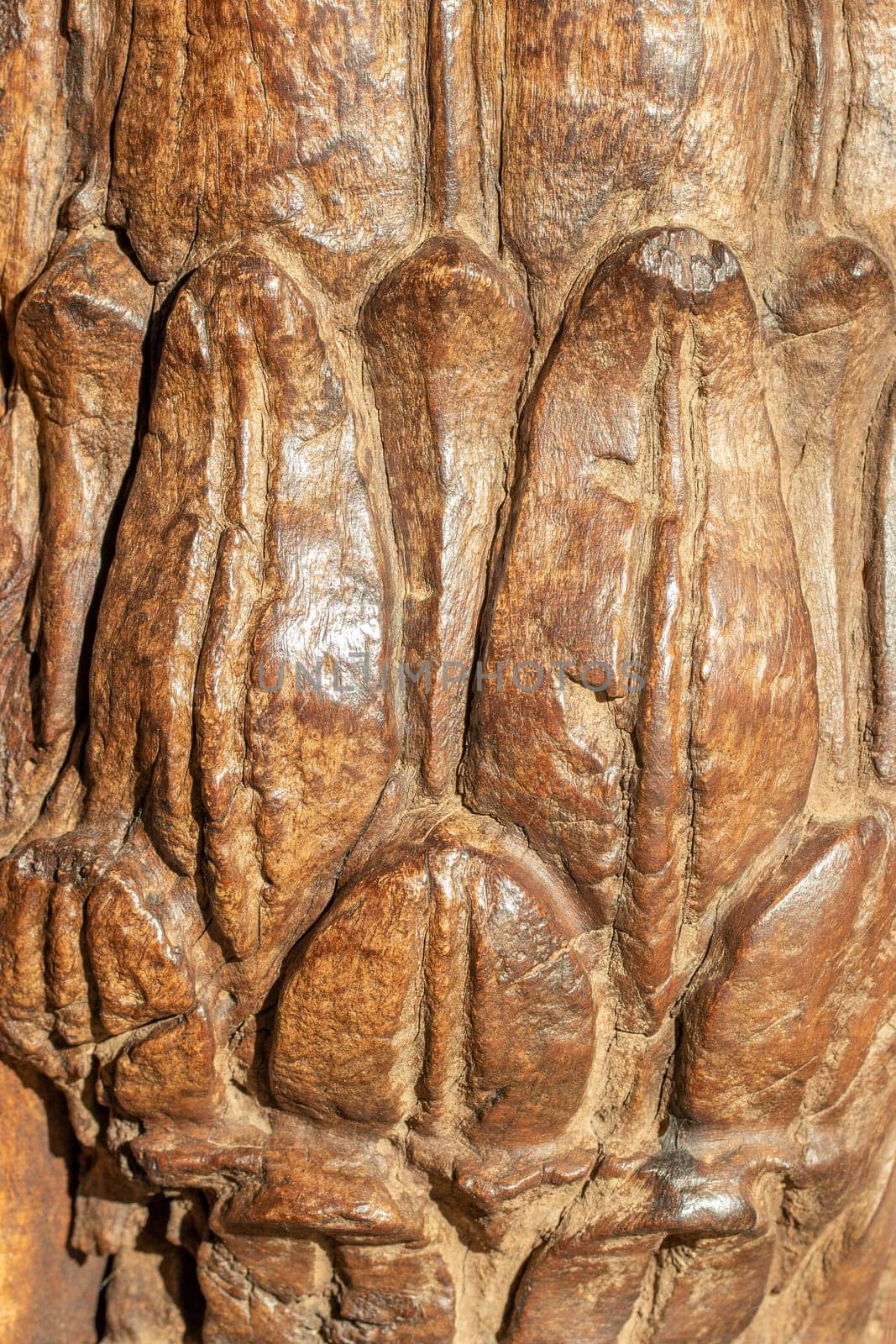 Close-up of old wooden texture background. Closeup of a detail from an old indian temple door with the original carving in local colors. Solid wood.