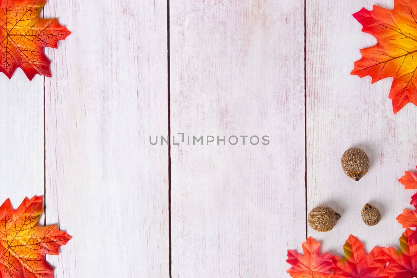 Frame of autumn. Top view on autumn frame of multi-colored autumn leaves and three hedgehogs on a wooden board with copy space.