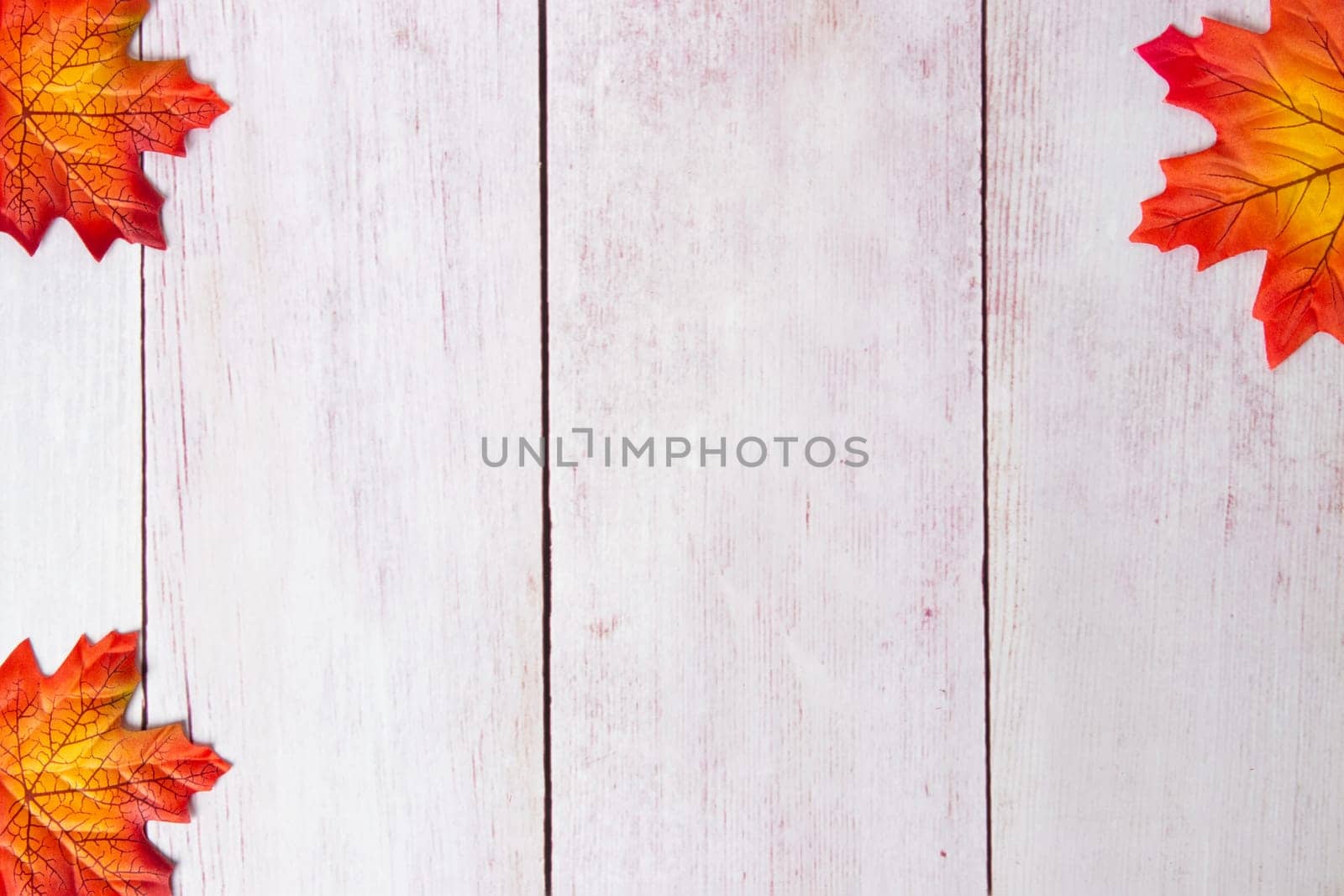 Frame of autumn. Top view on autumn frame of multi-colored autumn leaves on a wooden board with copy space.