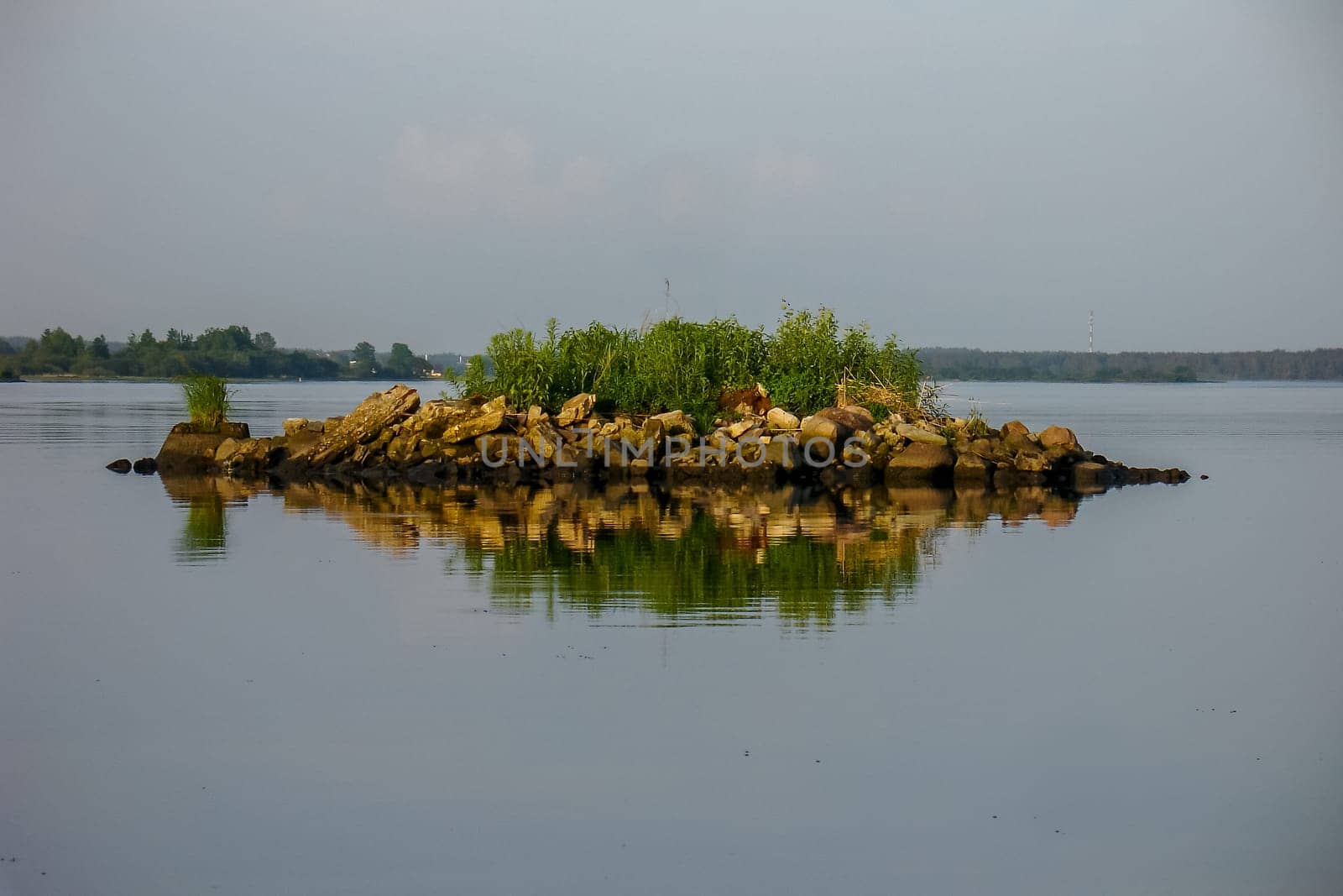 Rock with vegetation in the river.