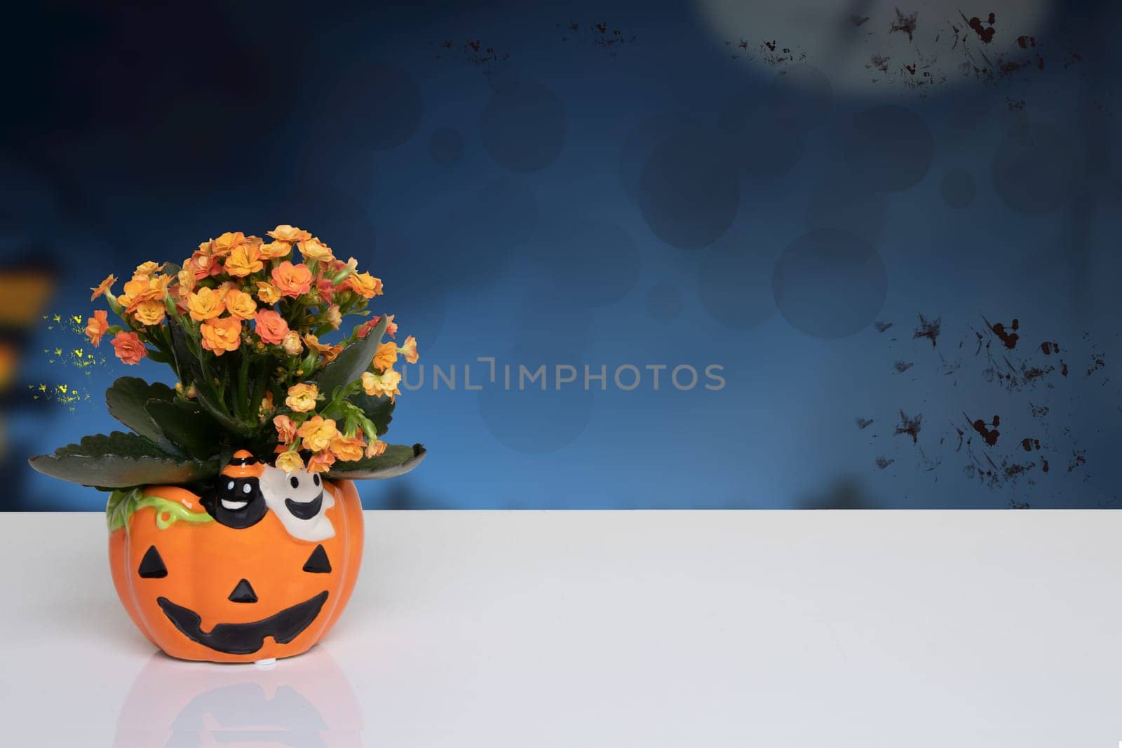 Table top on Halloween background. Bright table with flowers in a yellow porcelan pumpkin in front of dark blue abstract halloween background. Template for your product display montage. Space.