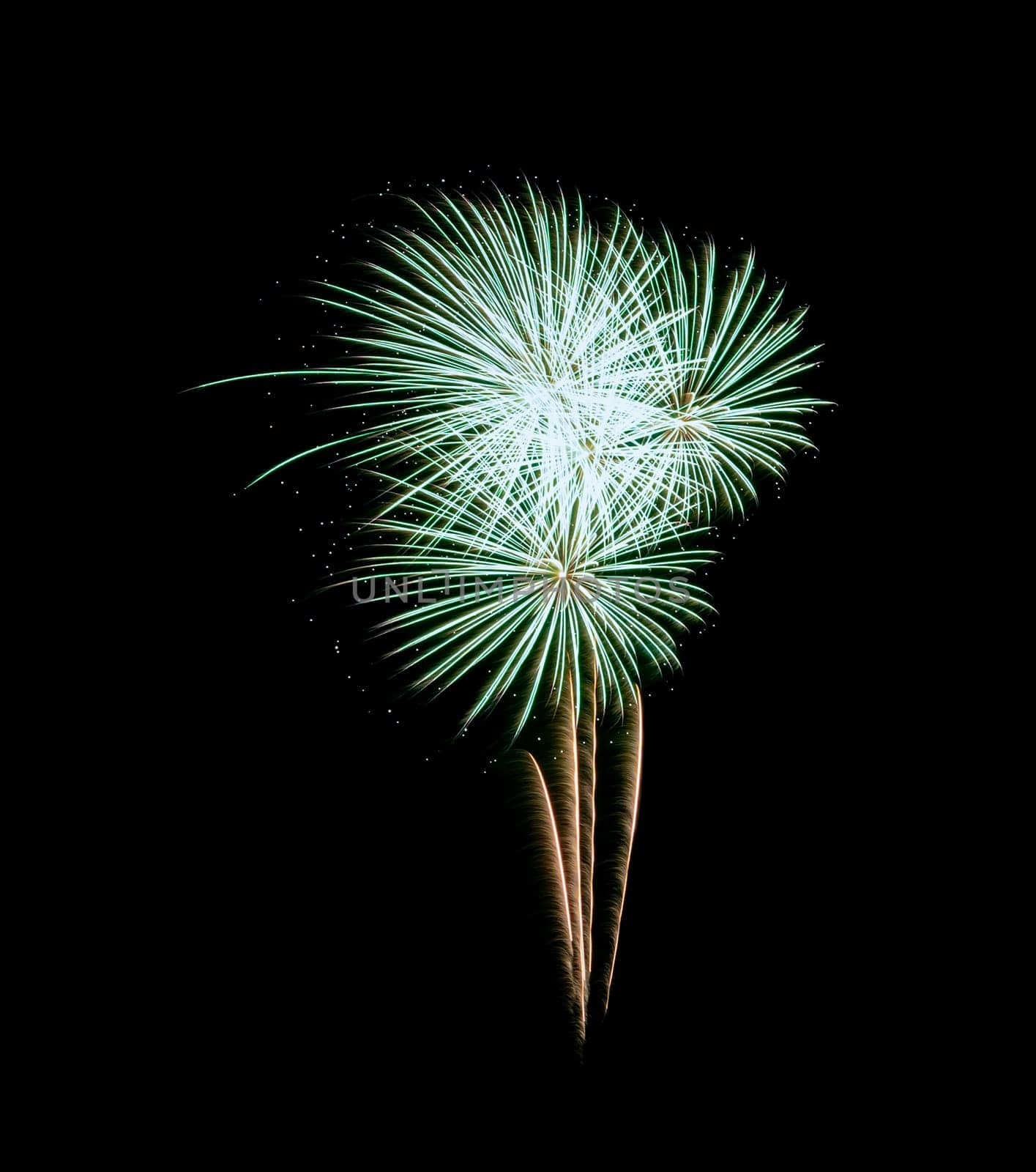 Green exploded fireworks display, isolated on black background