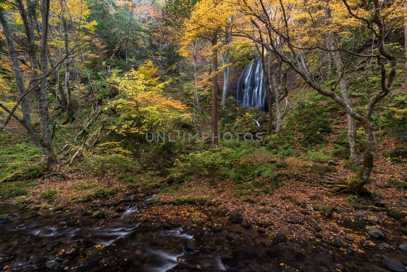 Tatsuzawafudo waterfall in autumn Fall season at Fukushima