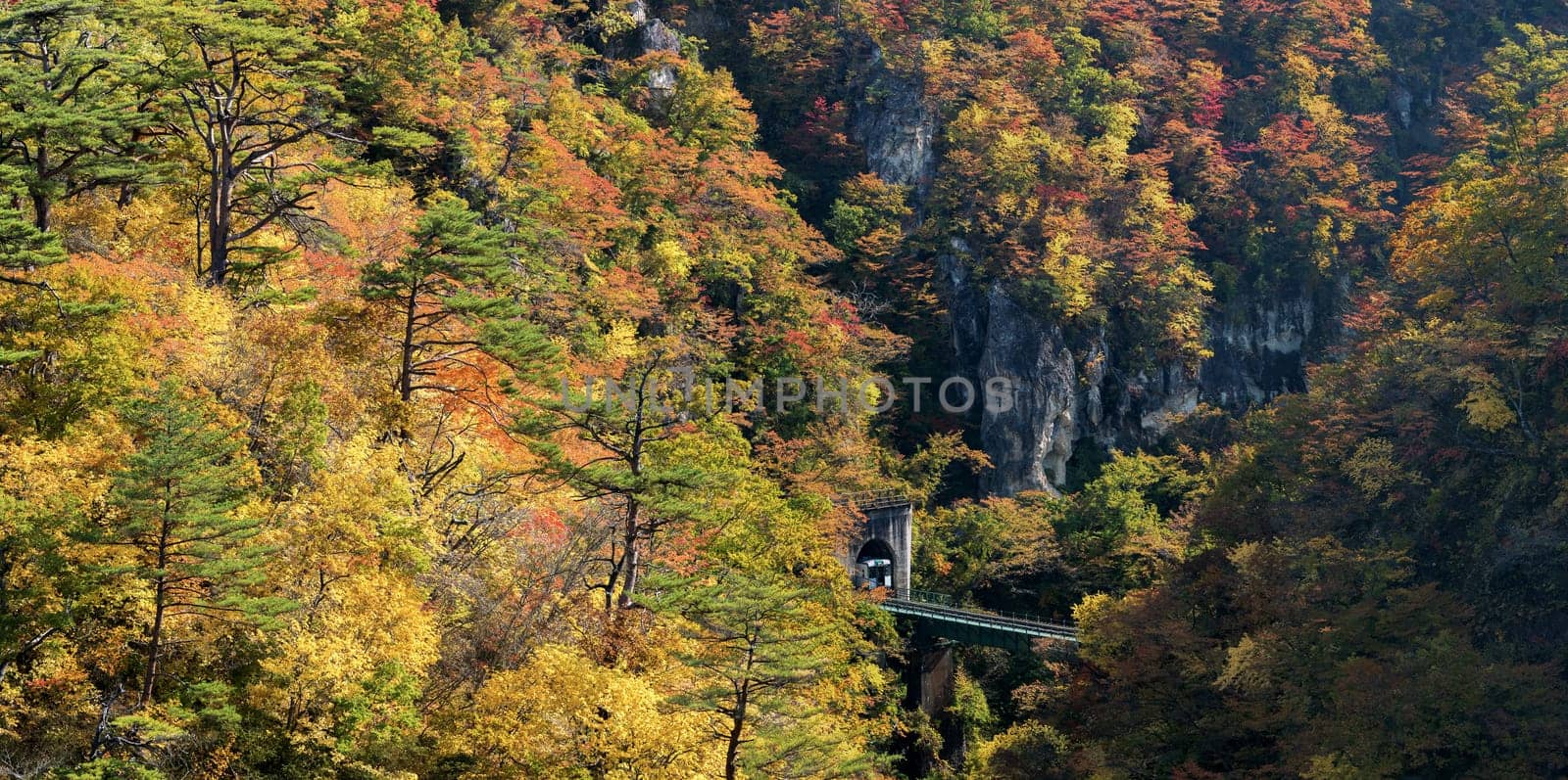 Naruko Gorge valley with train railroad tunnel in Miyagi Tohoku Japan panorama