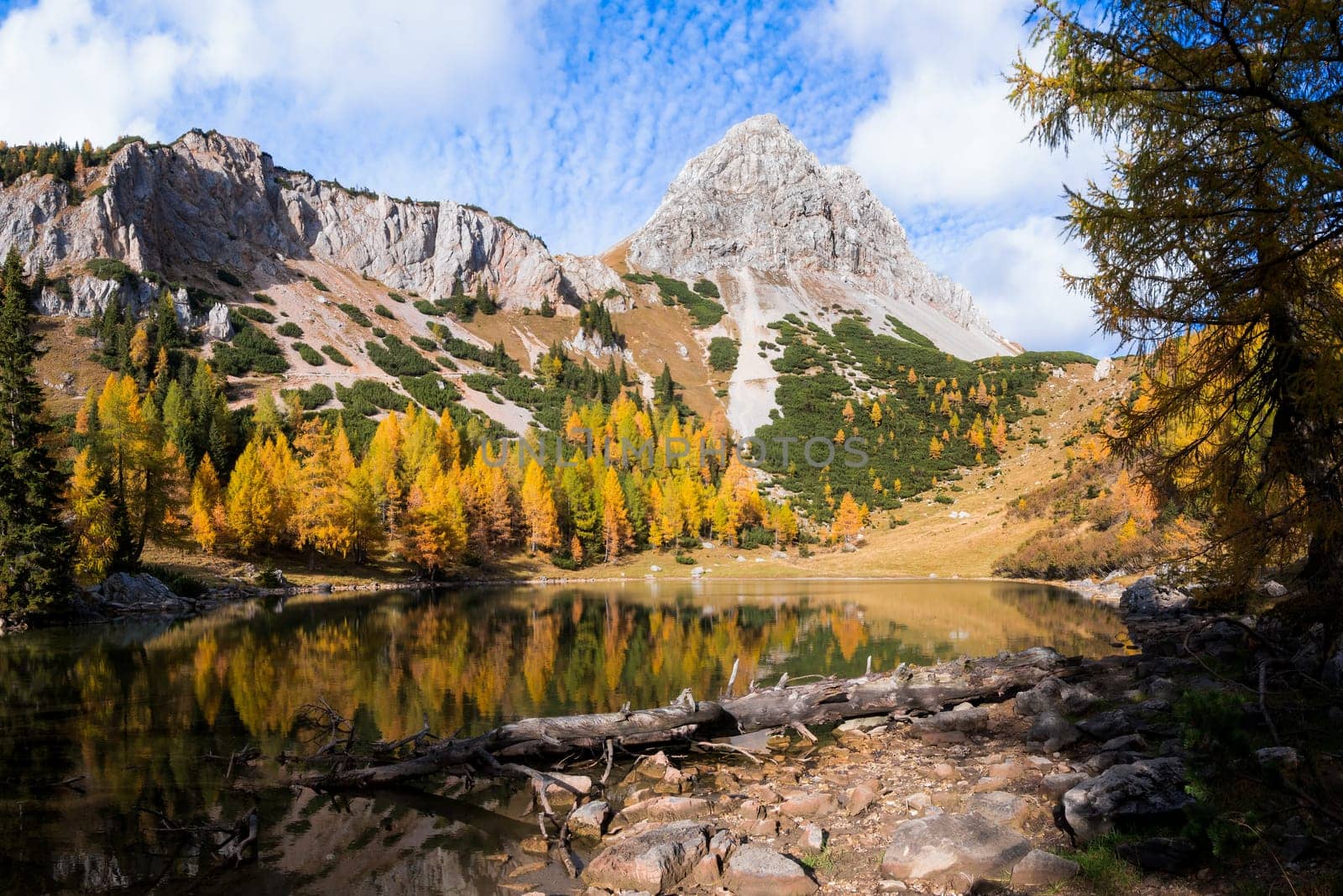Colorful autumn morning in the mountains. Colourful autumn morning in mountain lake. Colorful autumn landscape. Lake of Borfaglia, Friuli, Italy.