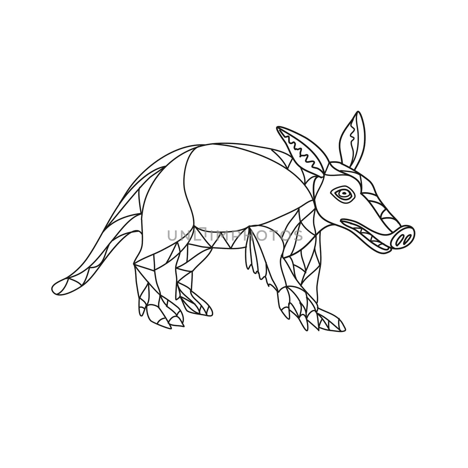 Mono line illustration of an aardvark, a medium-sized, burrowing, nocturnal mammal that is an insectivore with a long pig-like snout done in black and white monoline style.