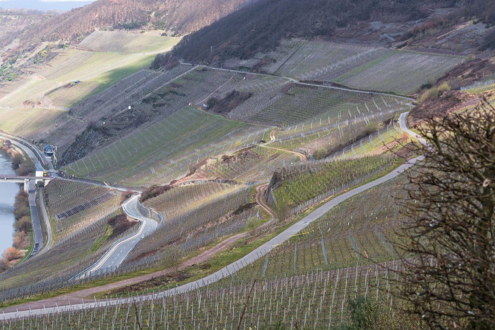 MOSELTAL, GERMANY - MARCH 26, 2016:.Winding Road through the vineyards on the Mosel in Germany.