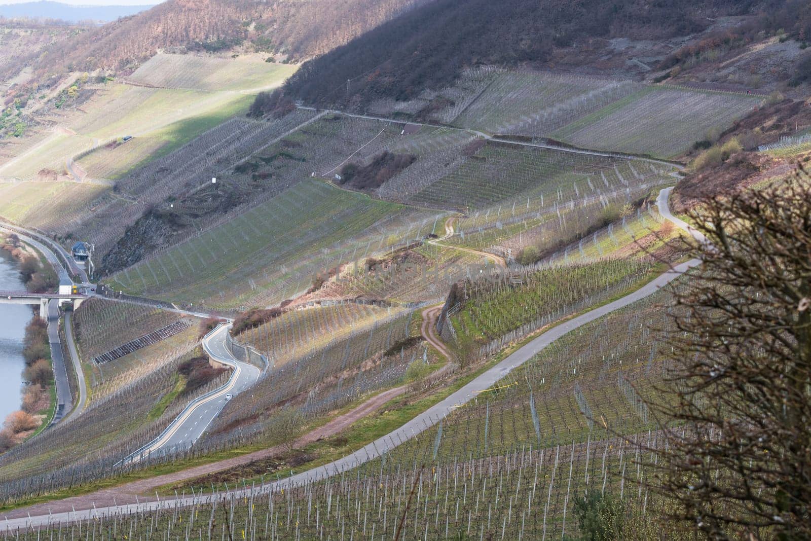 MOSELTAL, GERMANY - MARCH 26, 2016:.Winding Road through the vineyards on the Mosel in Germany.