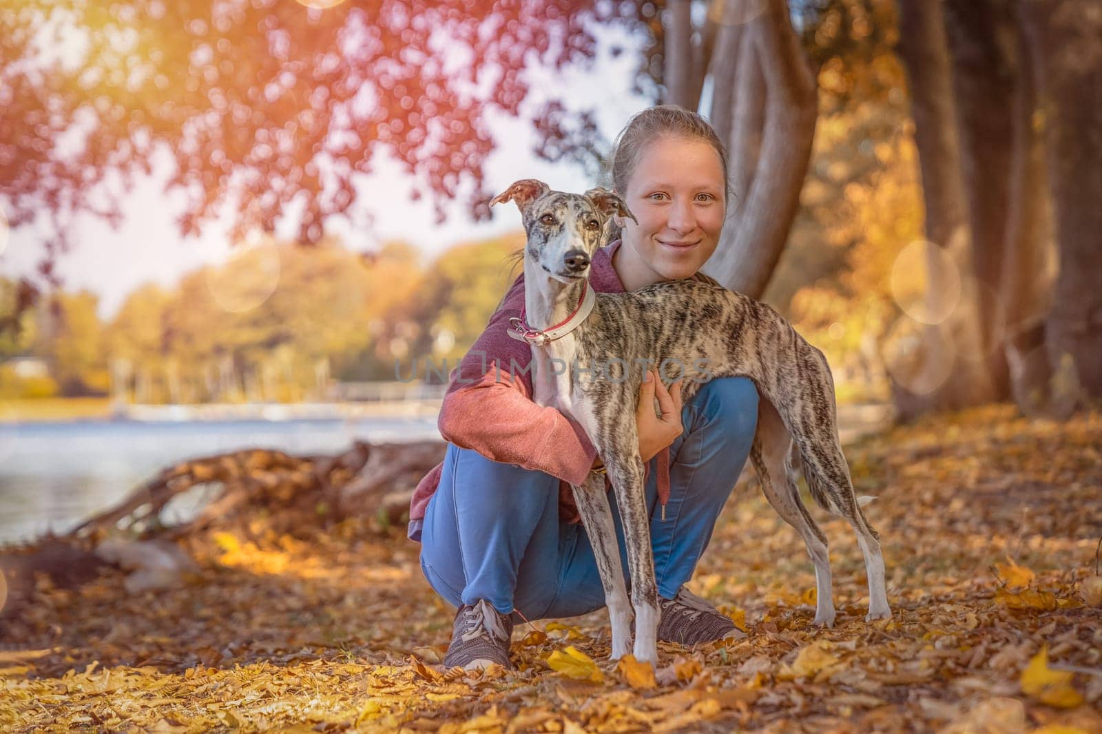 a young girl cuddles with her whippet dog