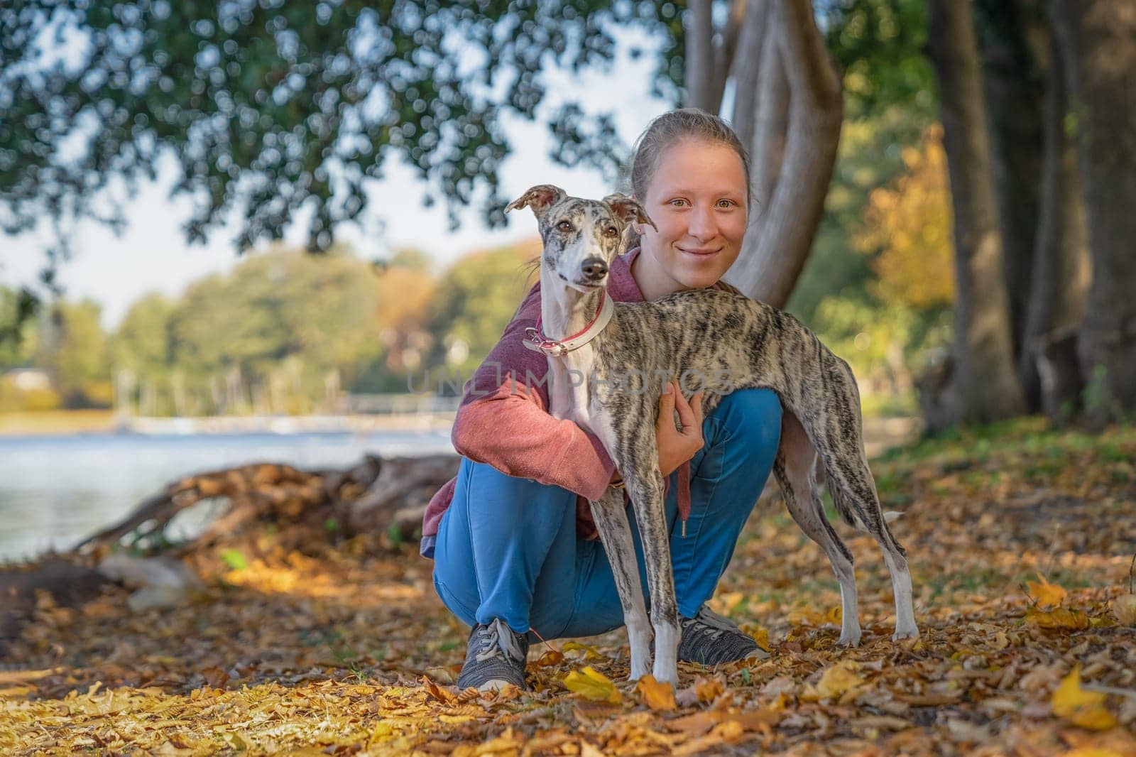 a young girl cuddles with her whippet dog