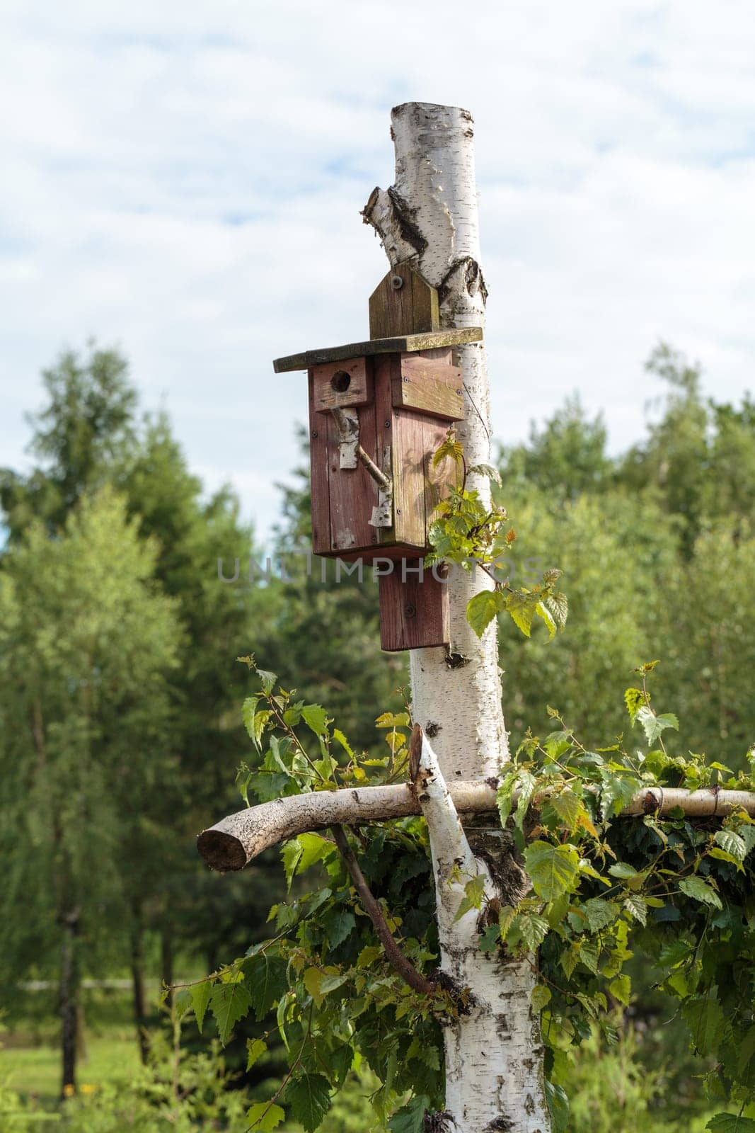 homemade house for birds in garden