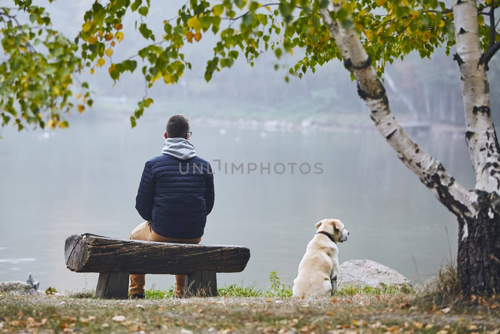 Pensive man with dog is contemplation on wooden bench near pond in autumn nature.