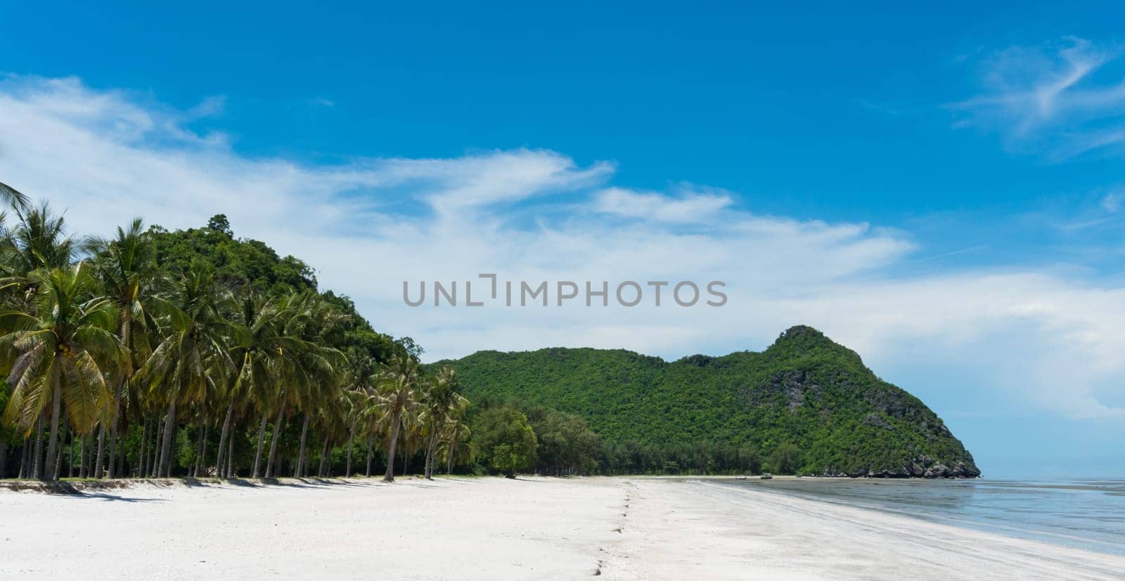 Green tree rock or stone mountain or hill and coconut tree at Sam Phraya Beach Prachuap Khiri Khan Thailand. Landscape or scenery in natural .for summer concept