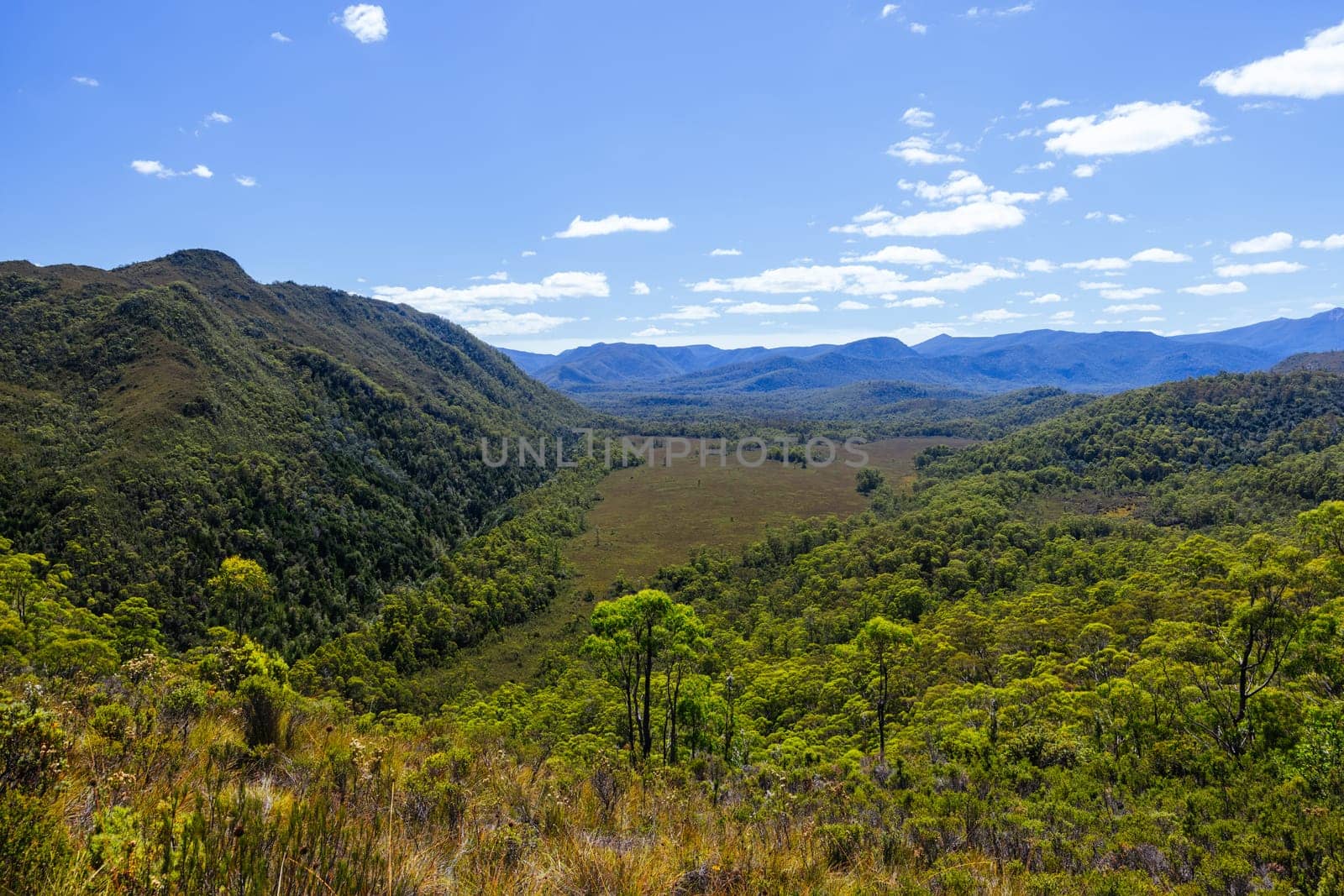Donaghys Hill walk in Franklin-Gordon Wild Rivers National Park on a hot summer's day in Tasmania, Australia