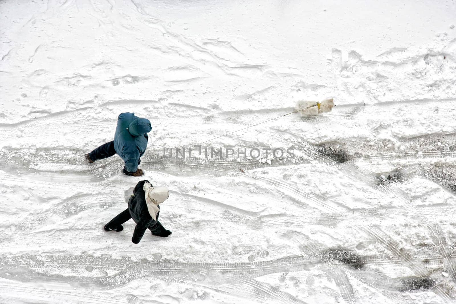 Elevated view of man and woman couple walking with dog on frozen snow covered street in winter