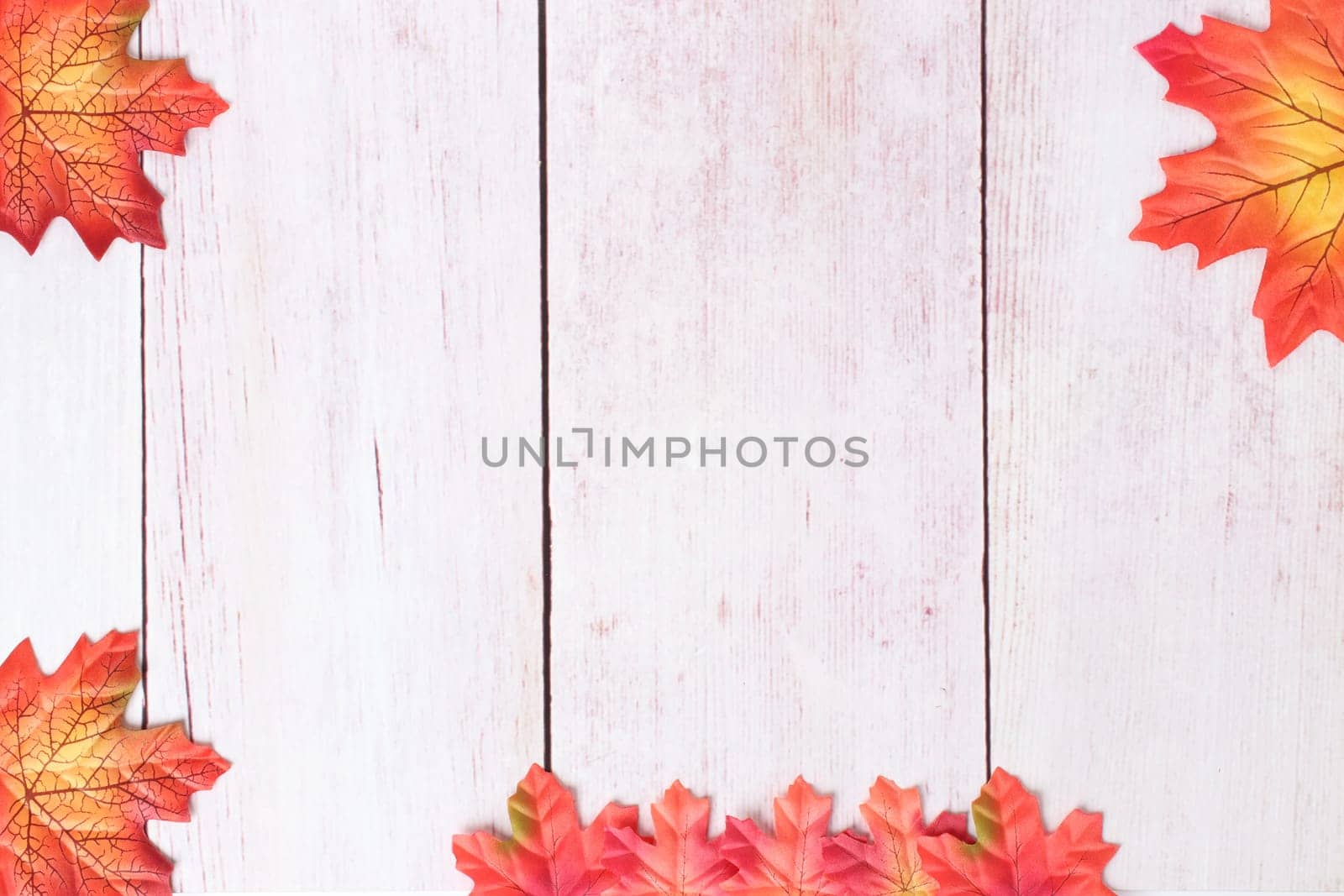 Frame of autumn. Top view on autumn frame of multi-colored autumn leaves on a wooden board with copy space.