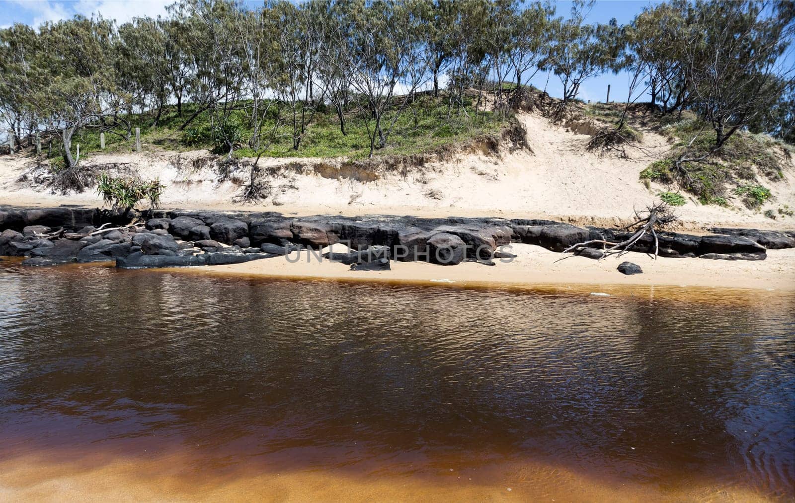 View of the Currimundi Lake which shows a dark brown colour due to the erosion of the dark brown seam of soft coal along the edge, in the Sunshine Coast, Australia