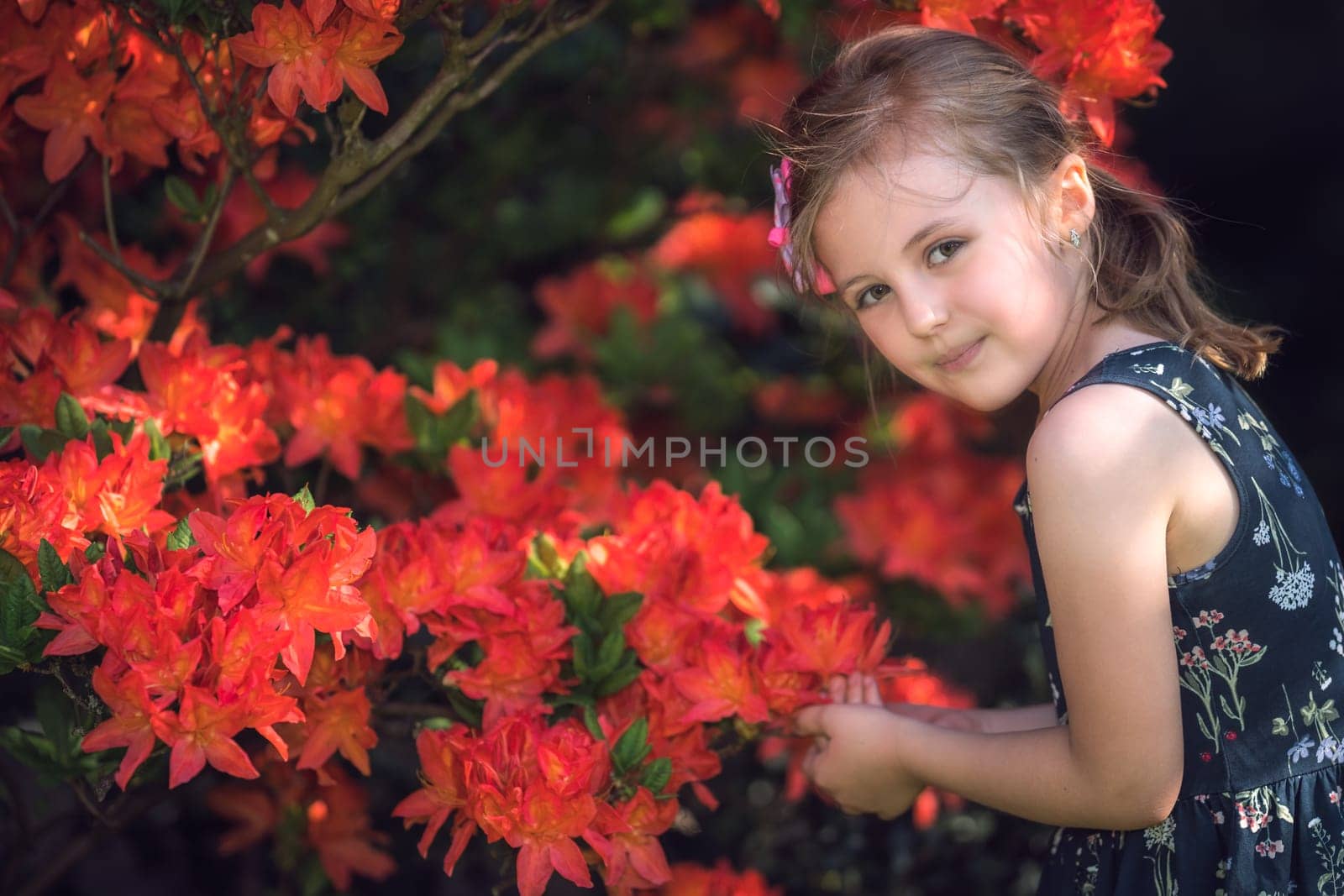 Cute little caucasian girl smelling blossoming red flowers in spring in a park