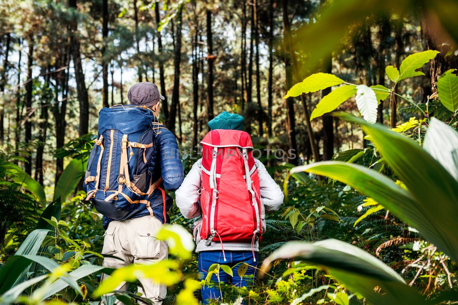 Back view of asian hikers couple with backpack exploring into the forest