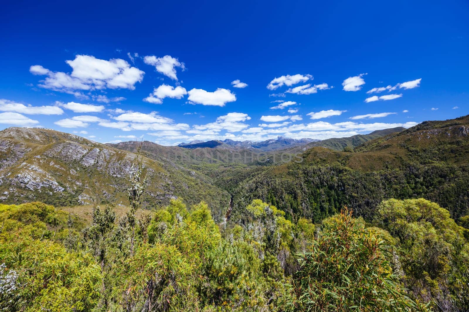 Donaghys Hill walk with Frenchmans Cap in the distance in Franklin-Gordon Wild Rivers National Park on a hot summer's day in Tasmania, Australia